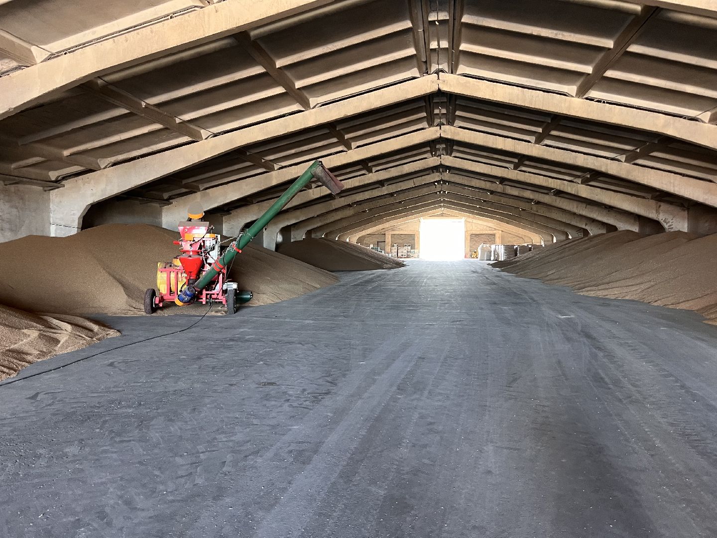 шатура, Урожай 2025, Урожай пшеницы,