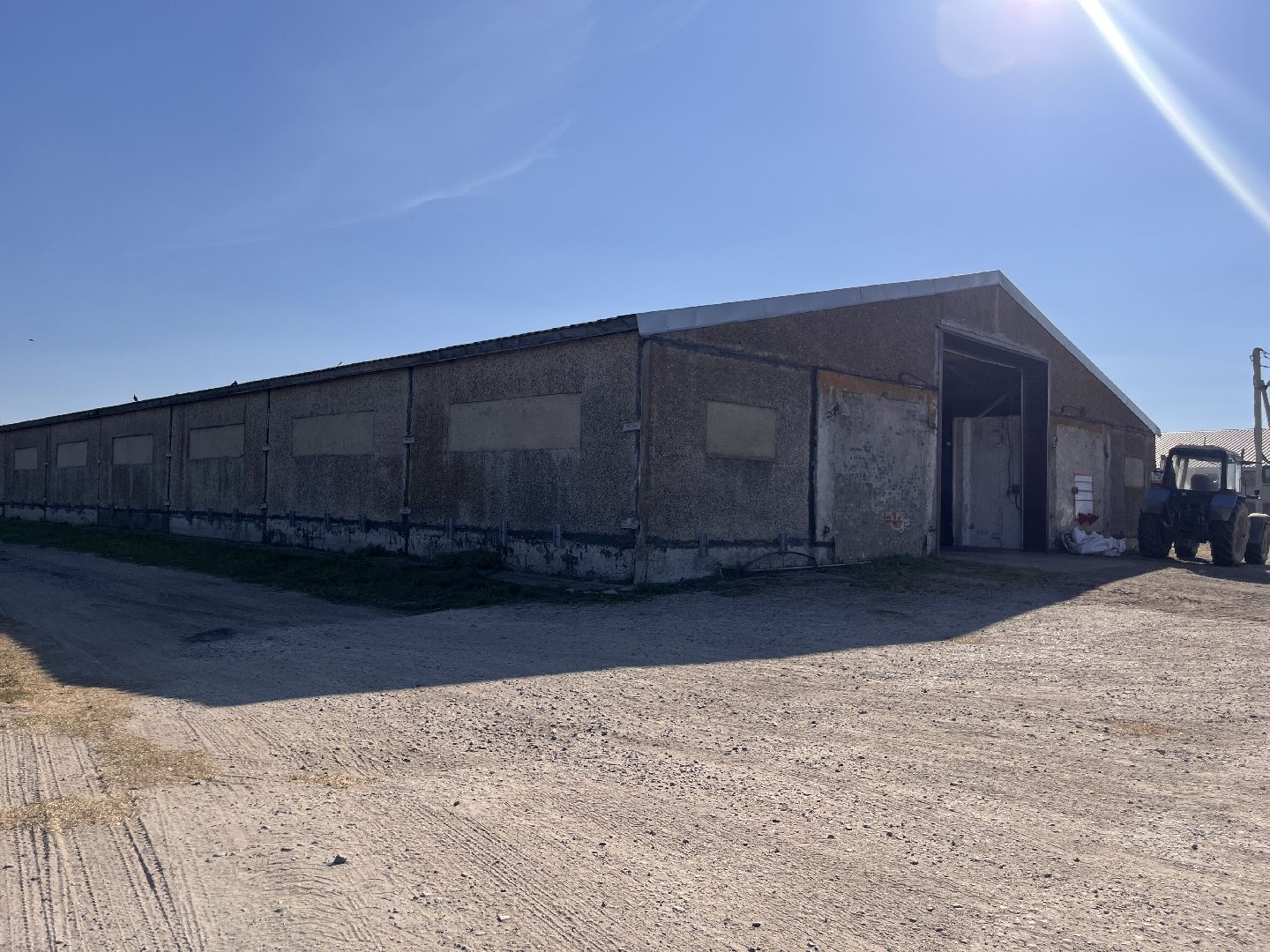 шатура, Урожай 2025, Урожай пшеницы,