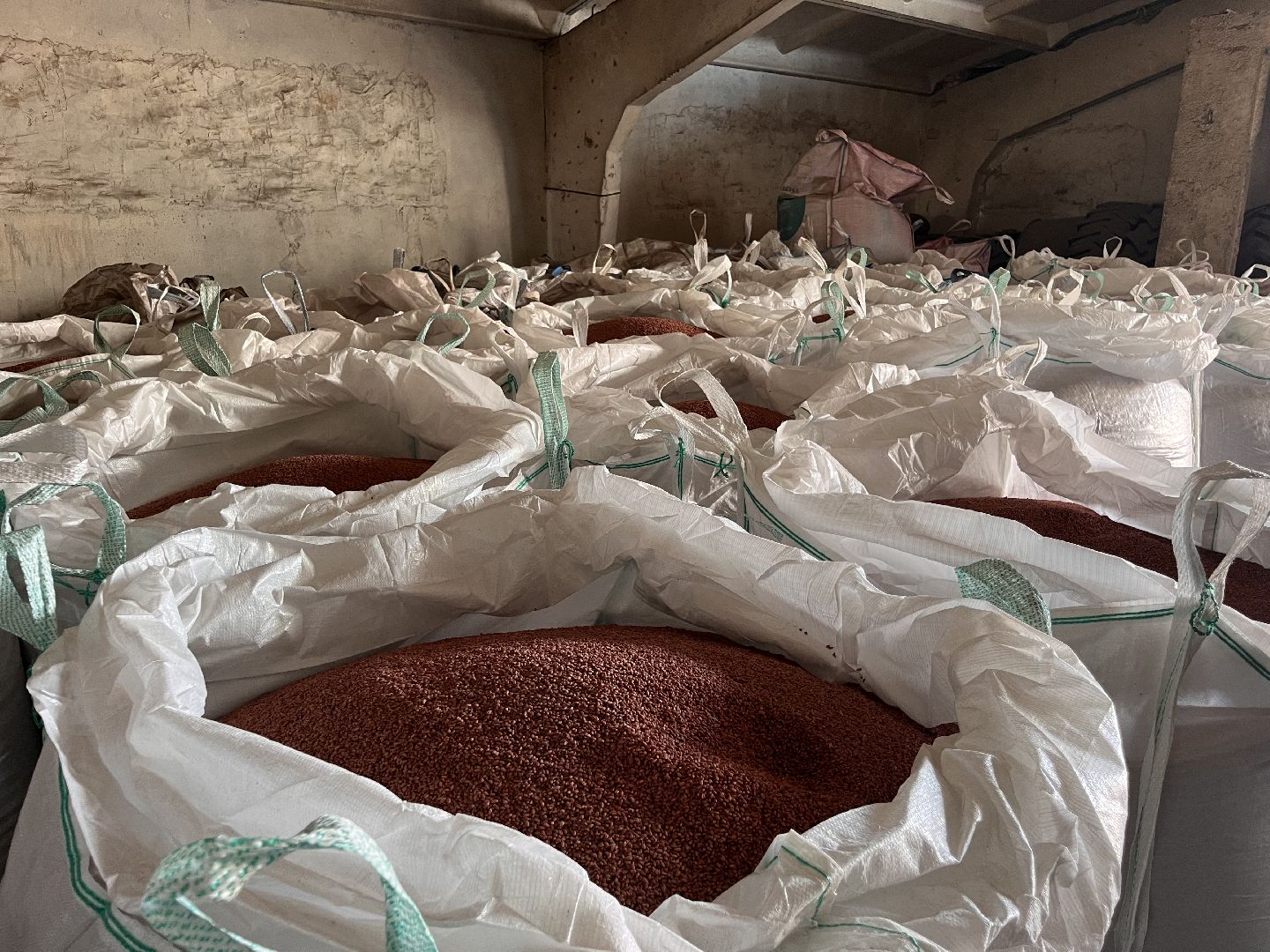 шатура, Урожай 2025, Урожай пшеницы,