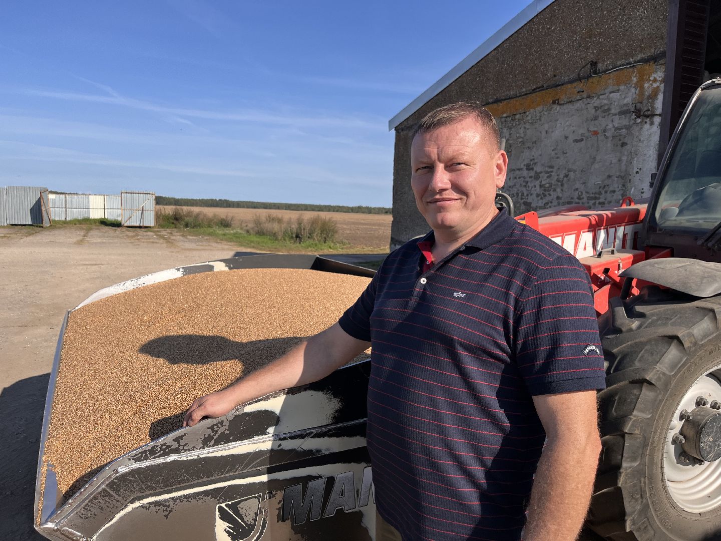 шатура, Урожай 2025, Урожай пшеницы,