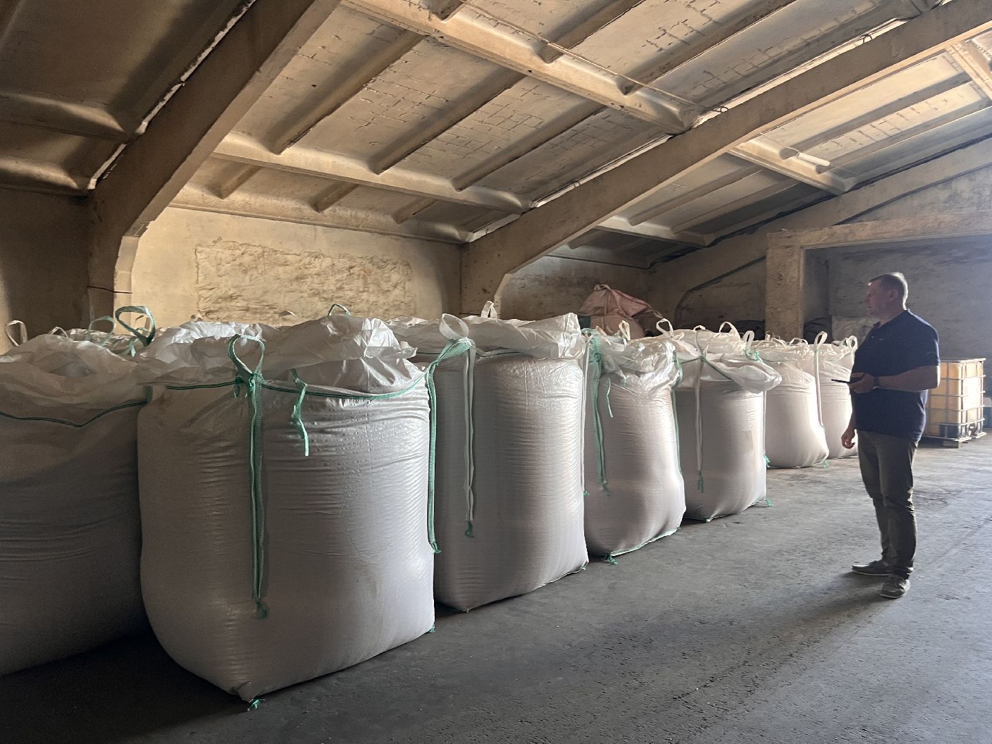 шатура, Урожай 2025, Урожай пшеницы,