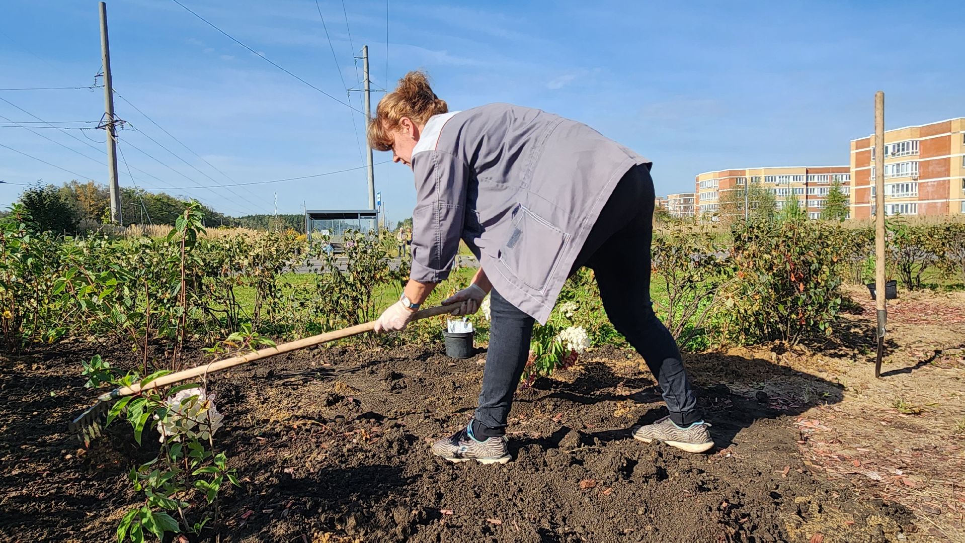 истра, благоустройство, клумба,