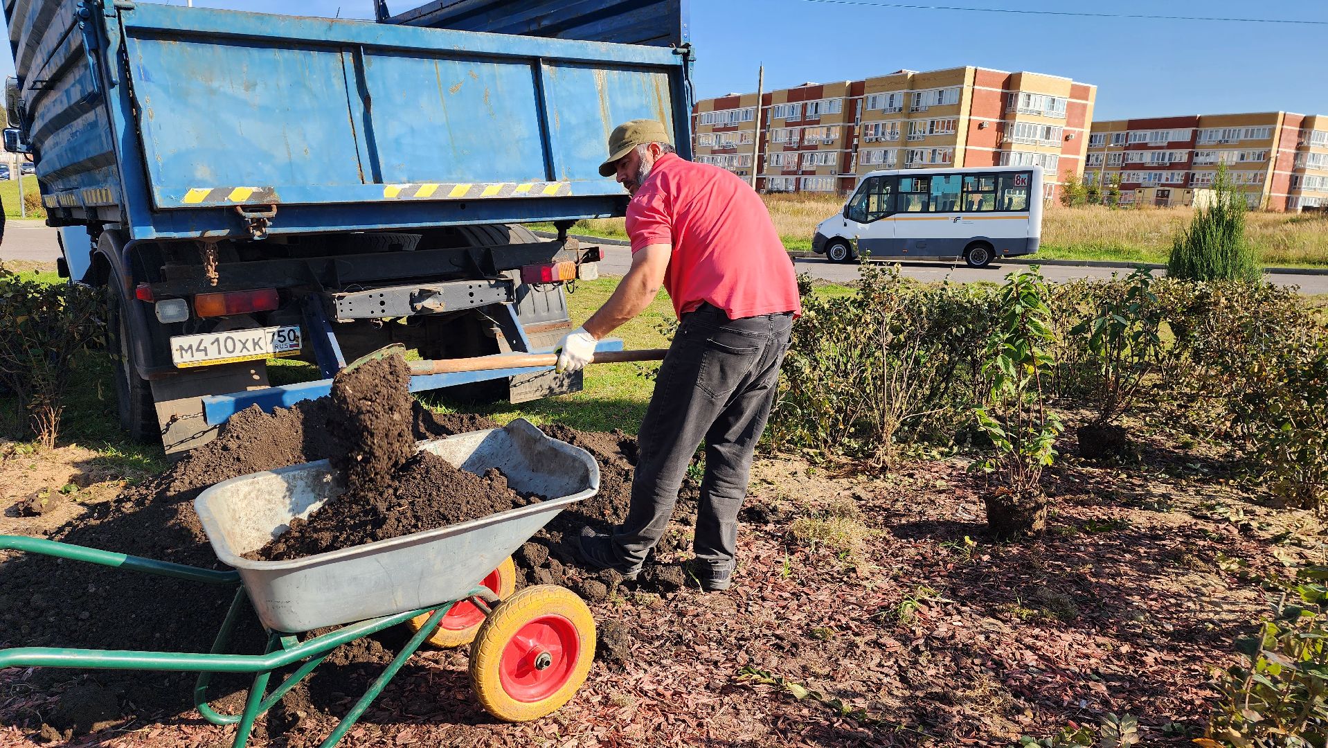 истра, благоустройство, клумба,