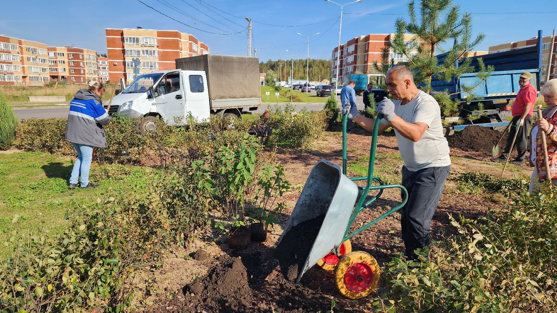 истра, благоустройство, клумба,