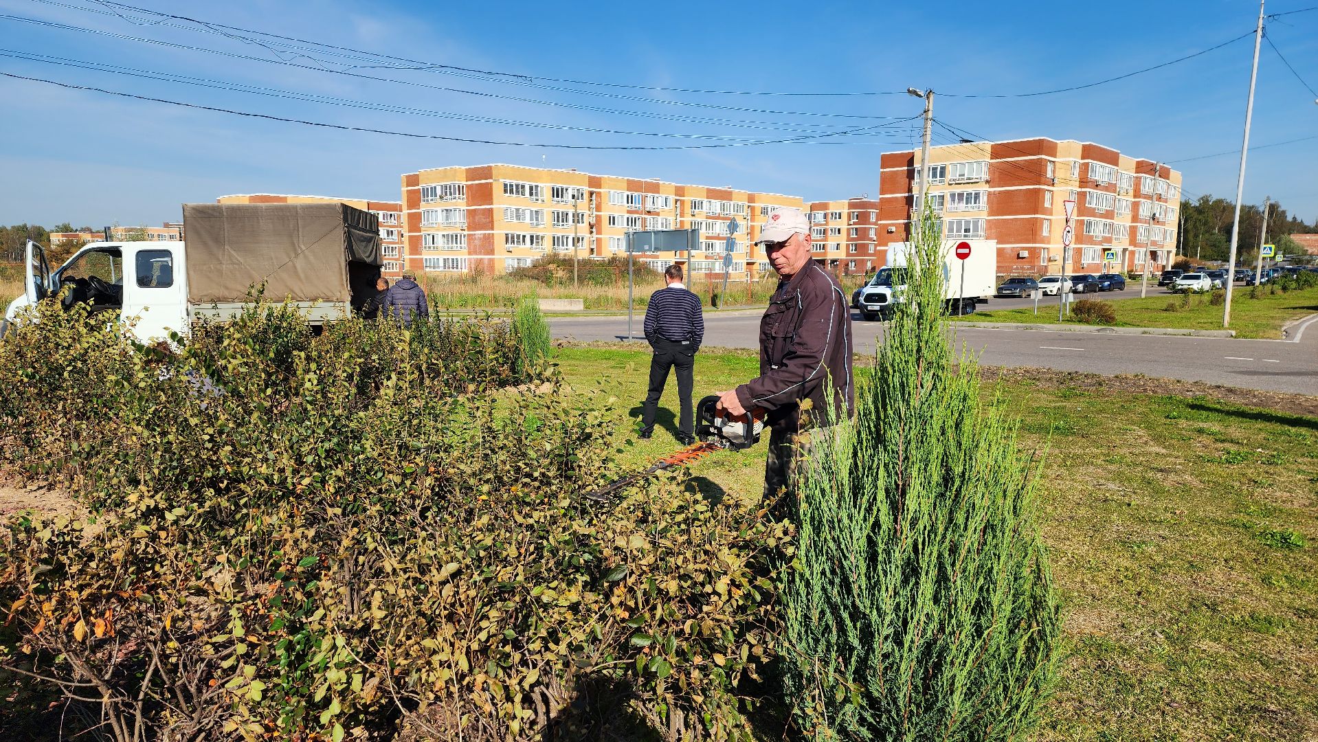 истра, благоустройство, клумба,