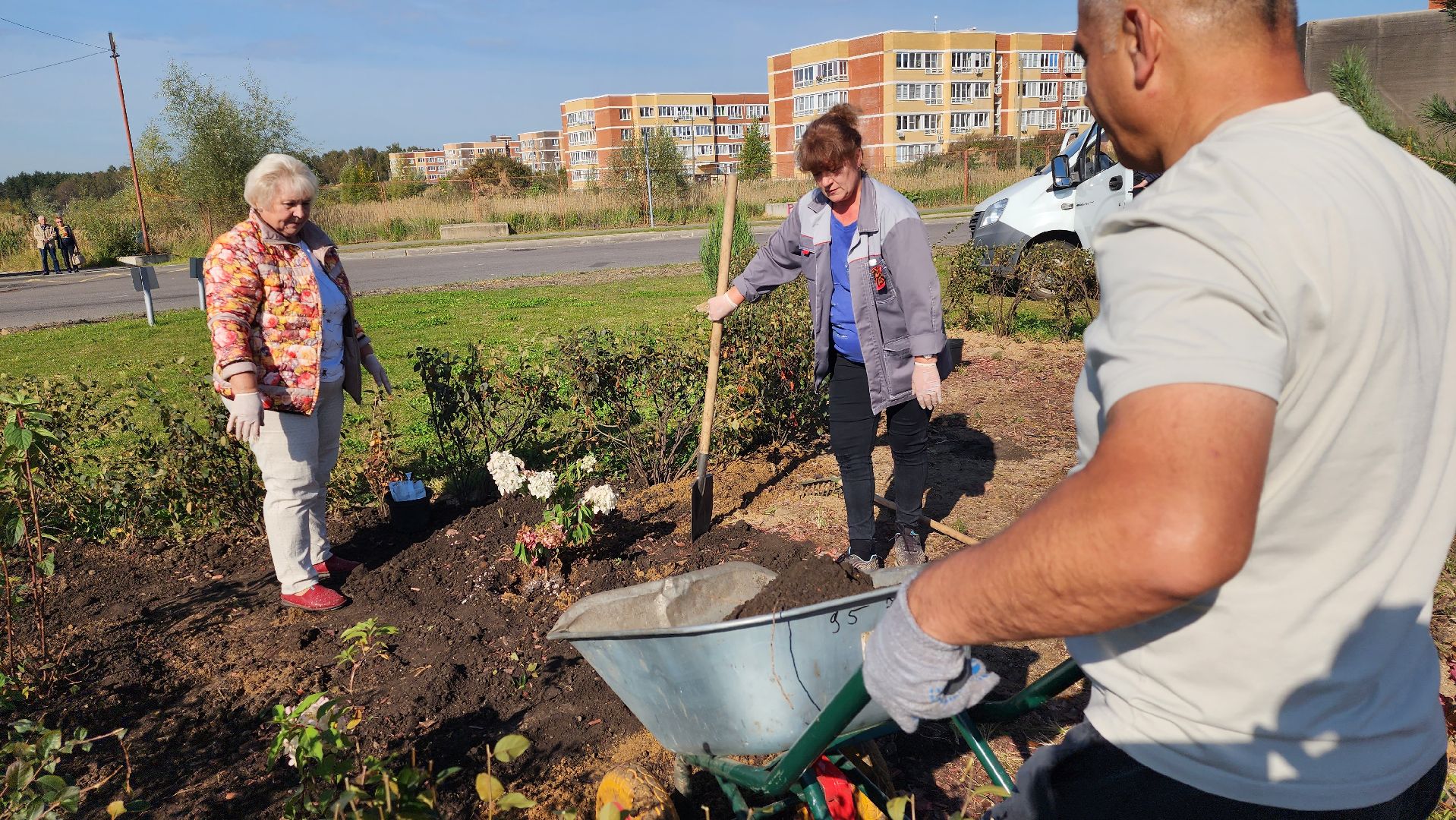 истра, благоустройство, клумба,