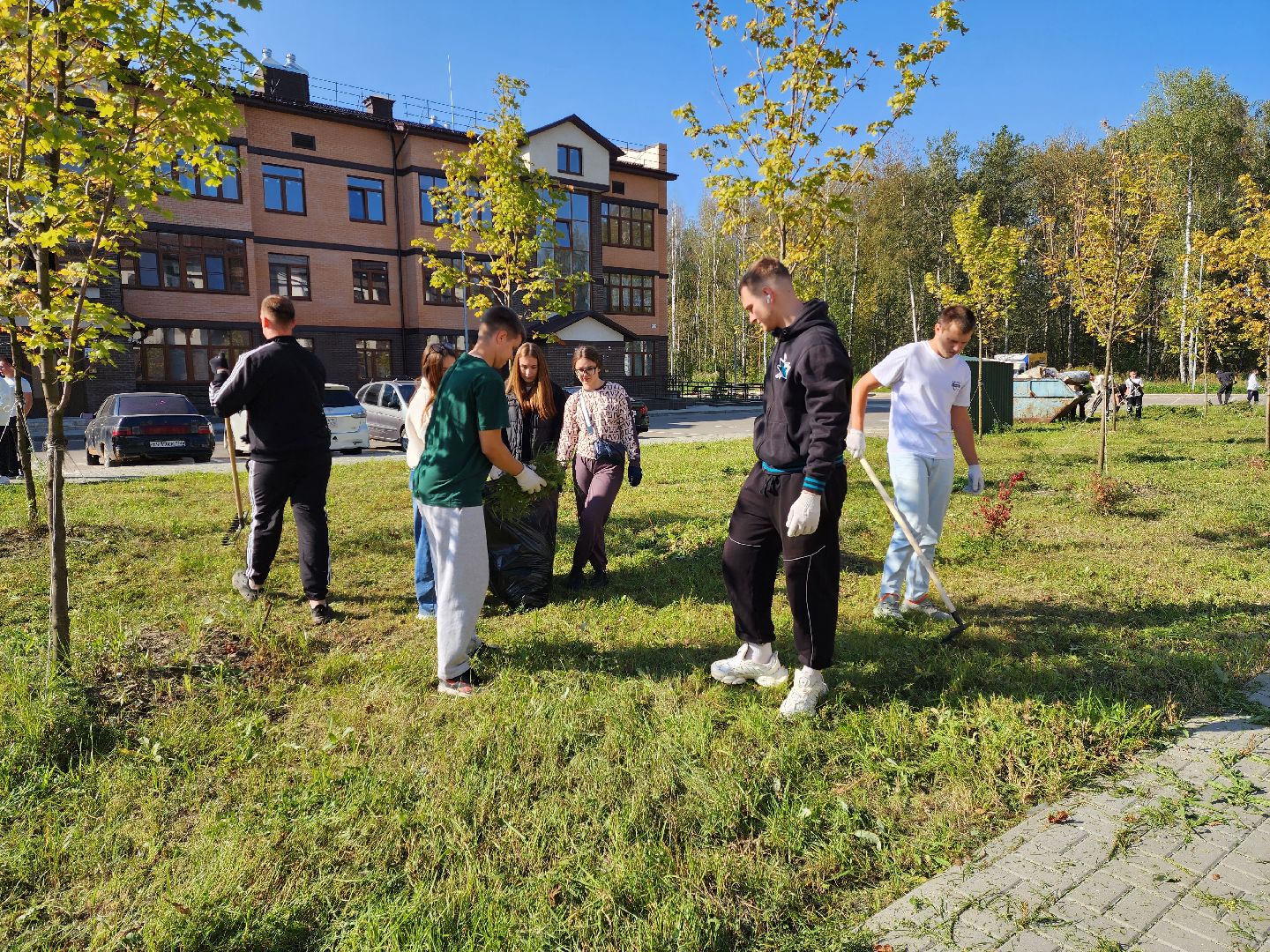 раменское, экология, молодежный субботник в жк березовая роща,