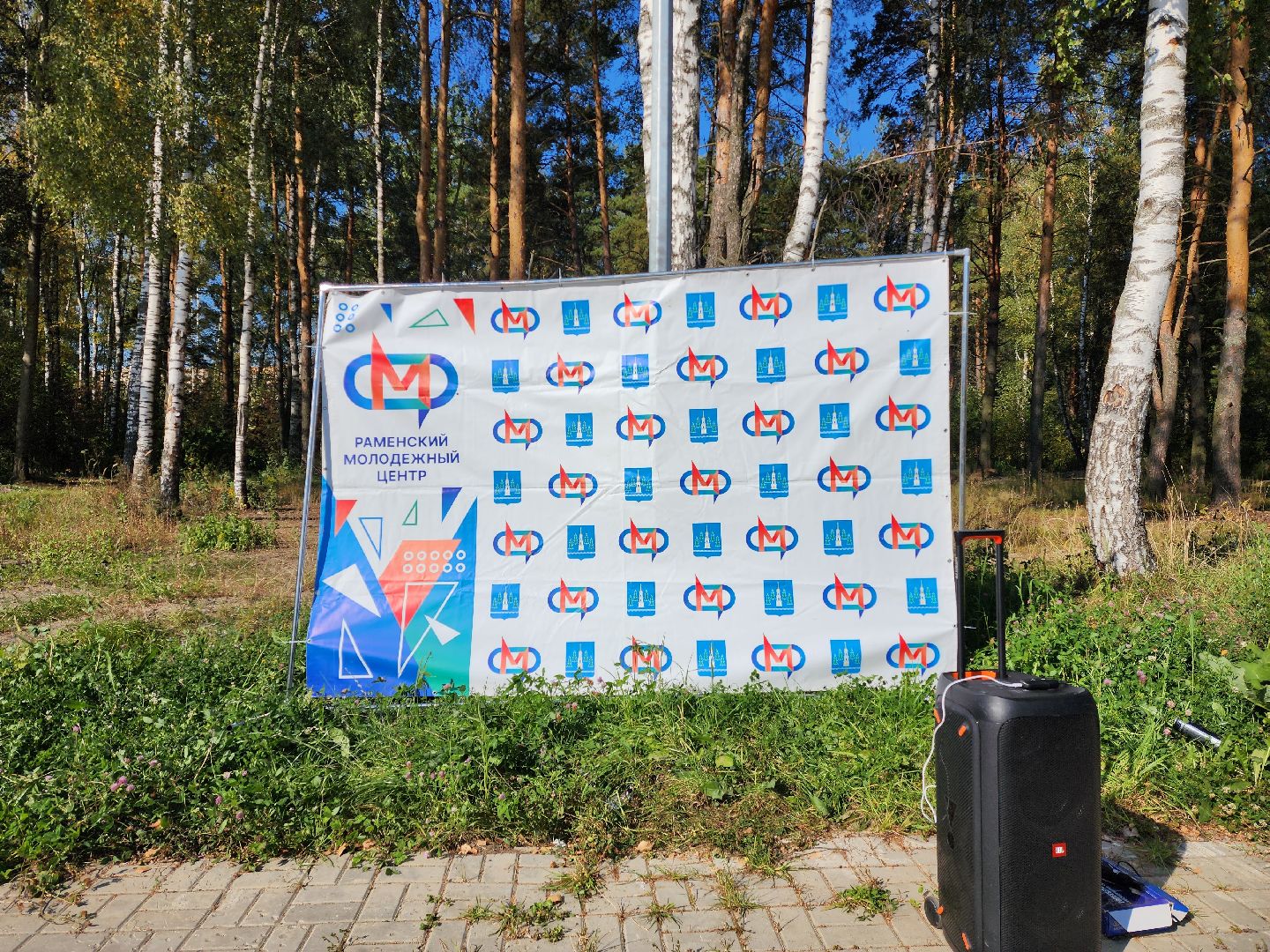 раменское, экология, молодежный субботник в жк березовая роща,