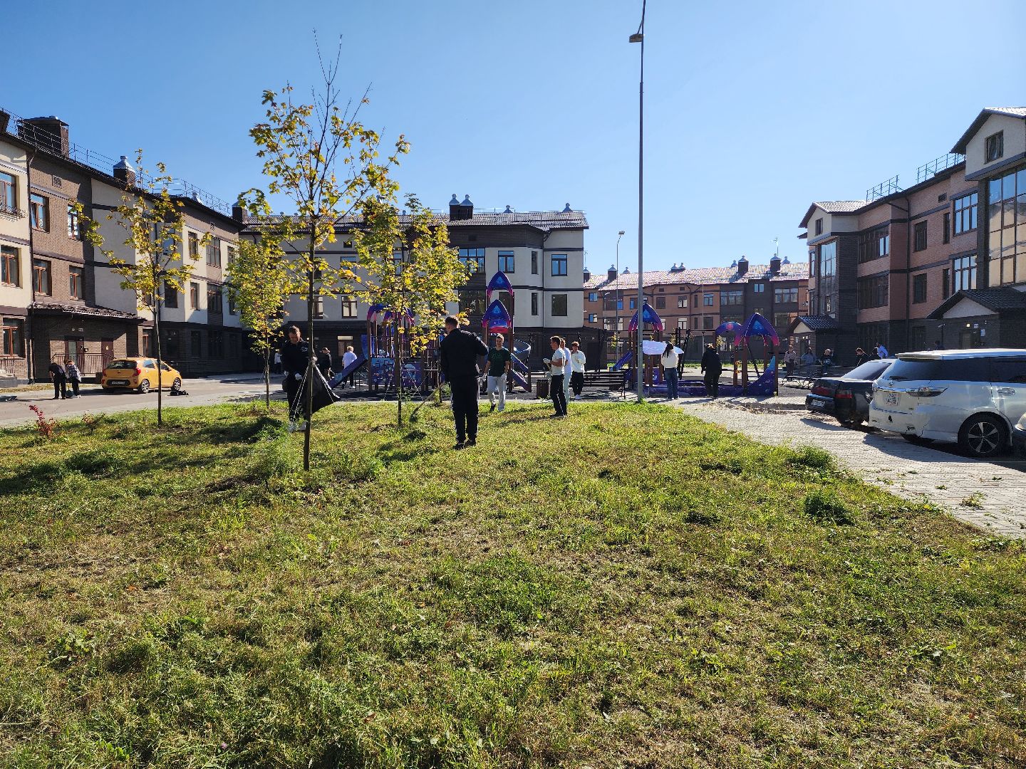 раменское, экология, молодежный субботник в жк березовая роща,