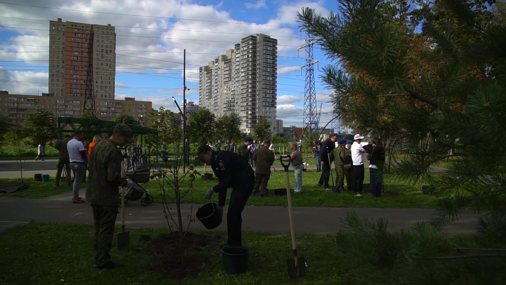 Реутов,  благоустройство, яблони, посадка деревьев,
