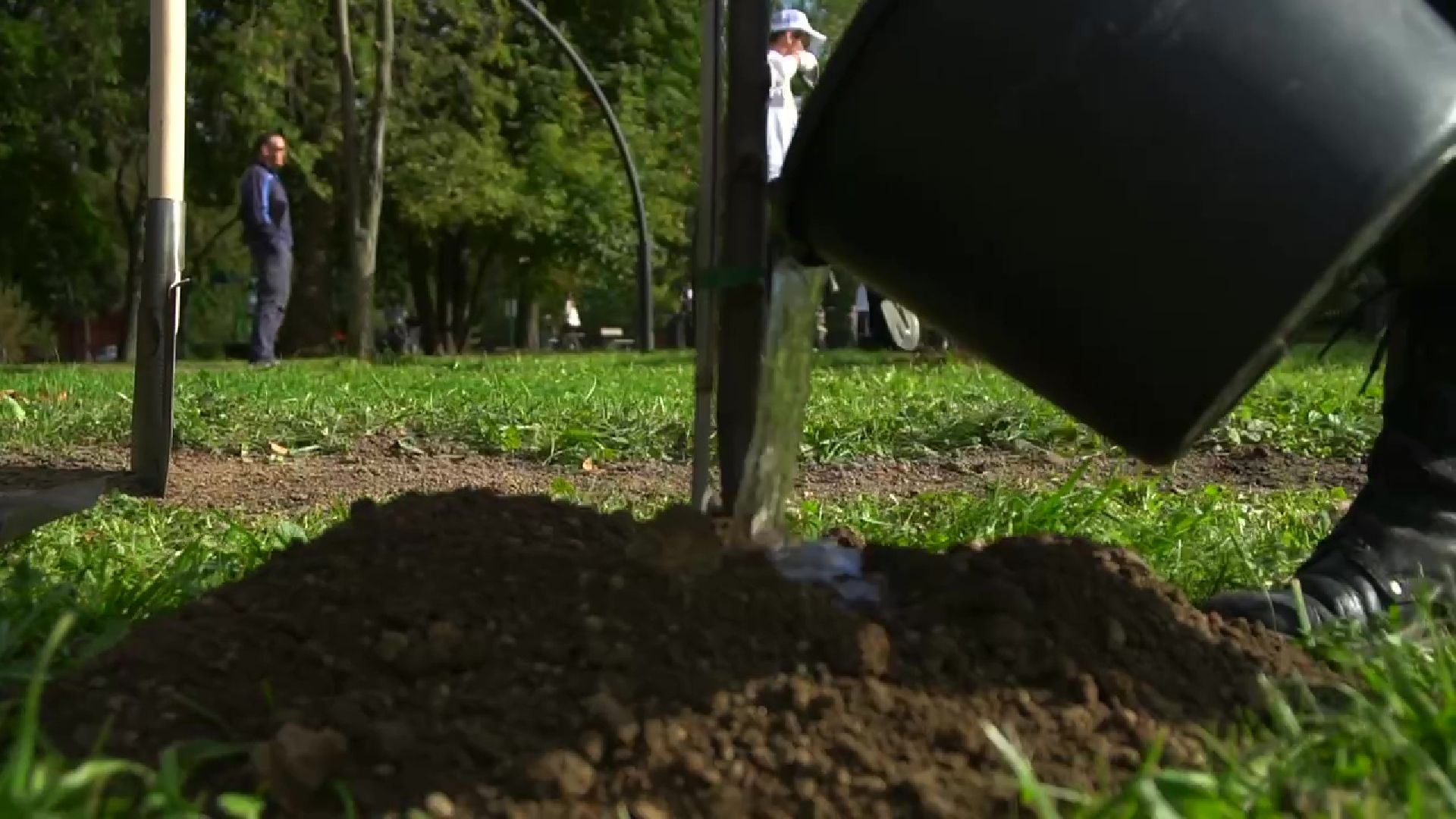 Реутов,  благоустройство, яблони, посадка деревьев,