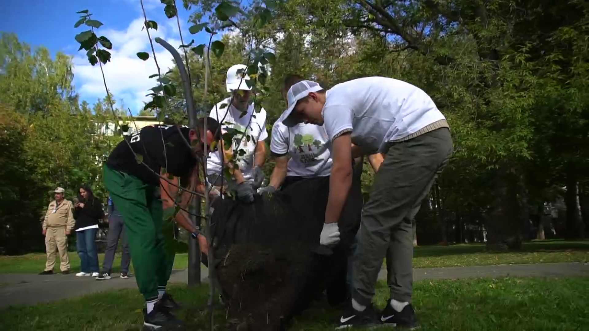 Реутов,  благоустройство, яблони, посадка деревьев,