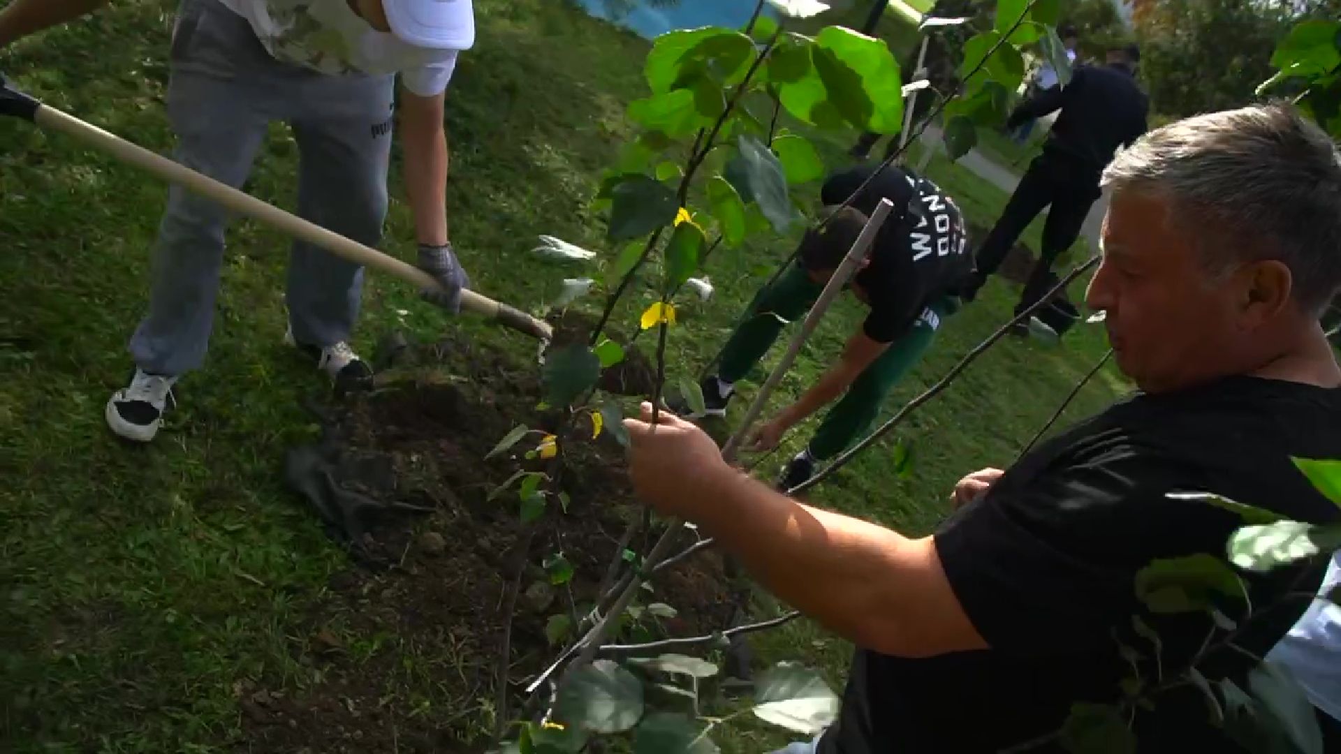Реутов,  благоустройство, яблони, посадка деревьев,