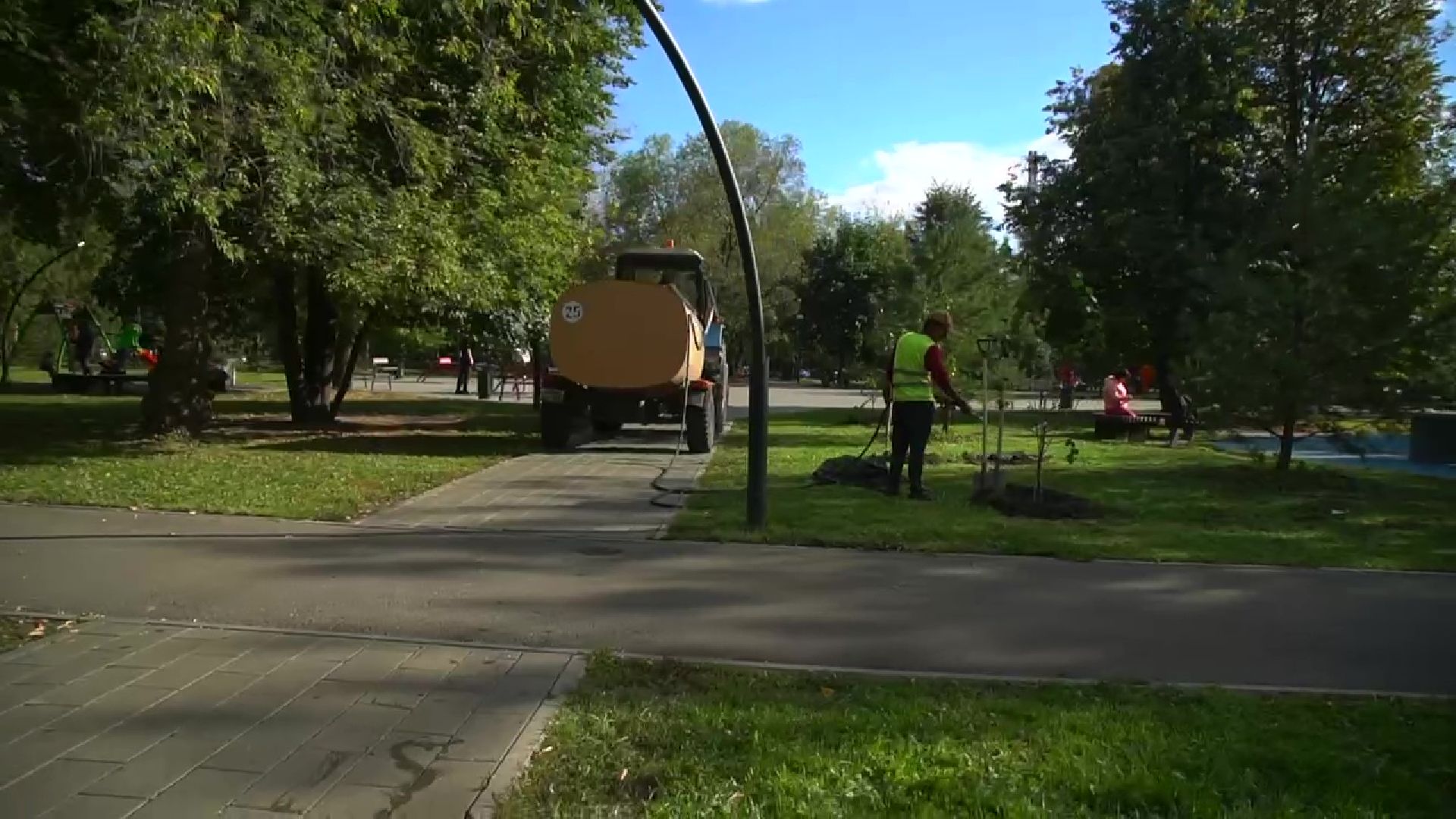 Реутов,  благоустройство, яблони, посадка деревьев,