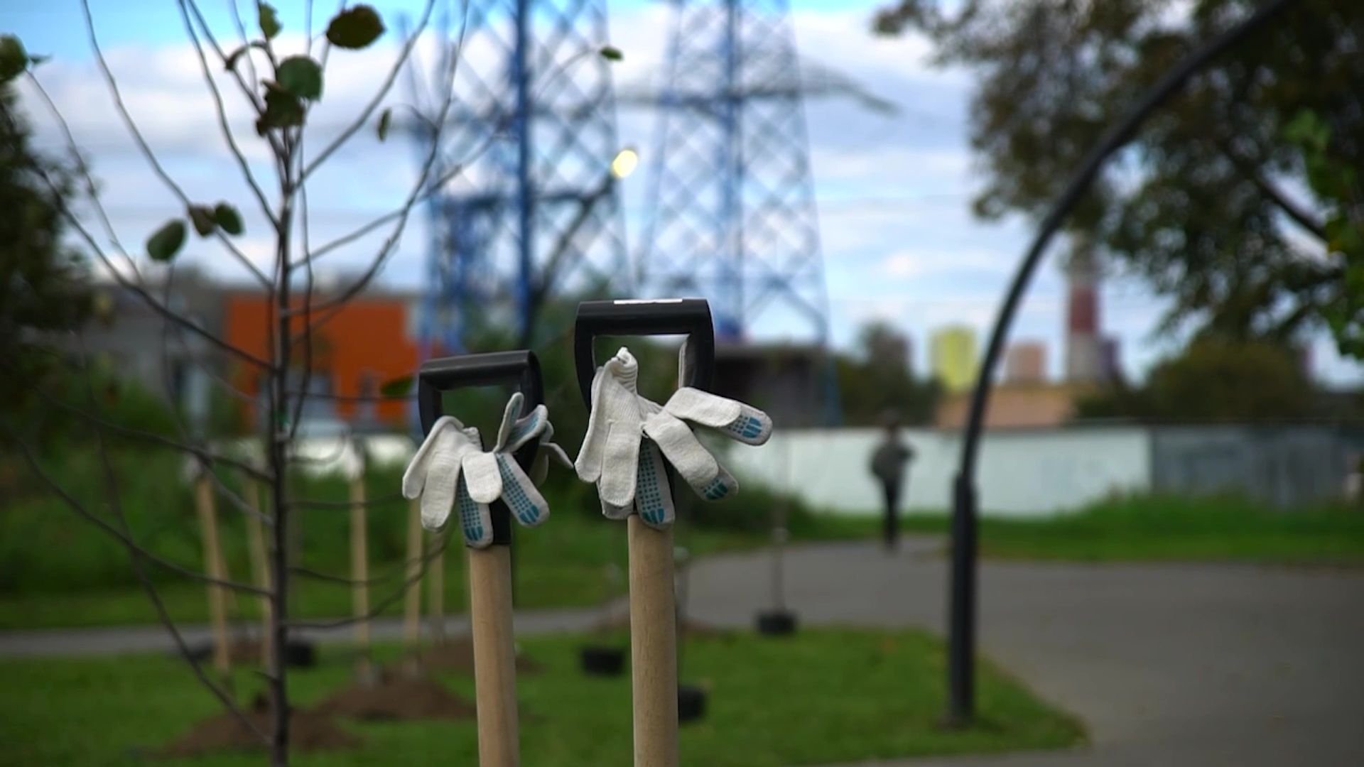 Реутов,  благоустройство, яблони, посадка деревьев,