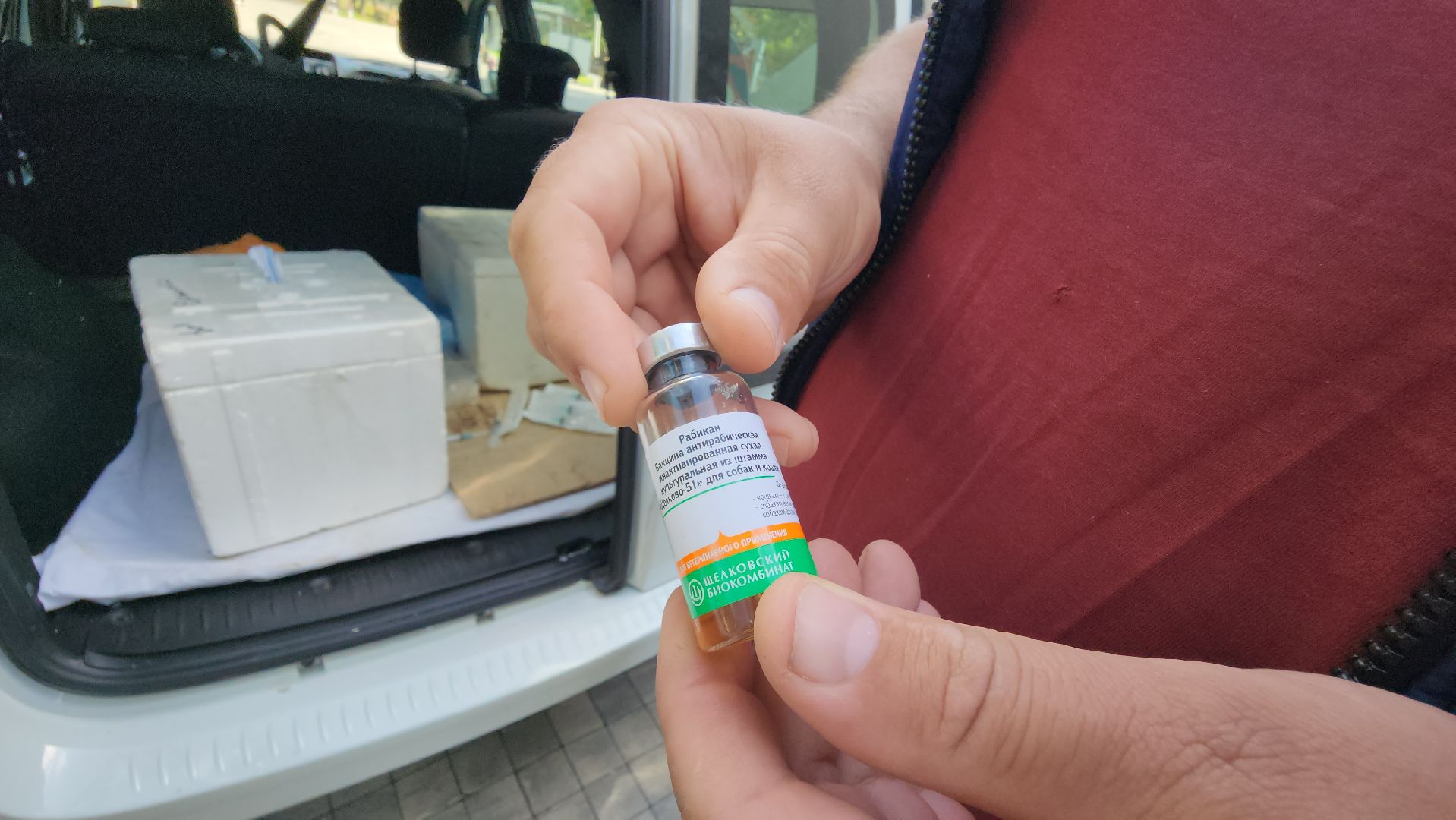 Истра, Прививки, Вакцинация, Животные,Парк,