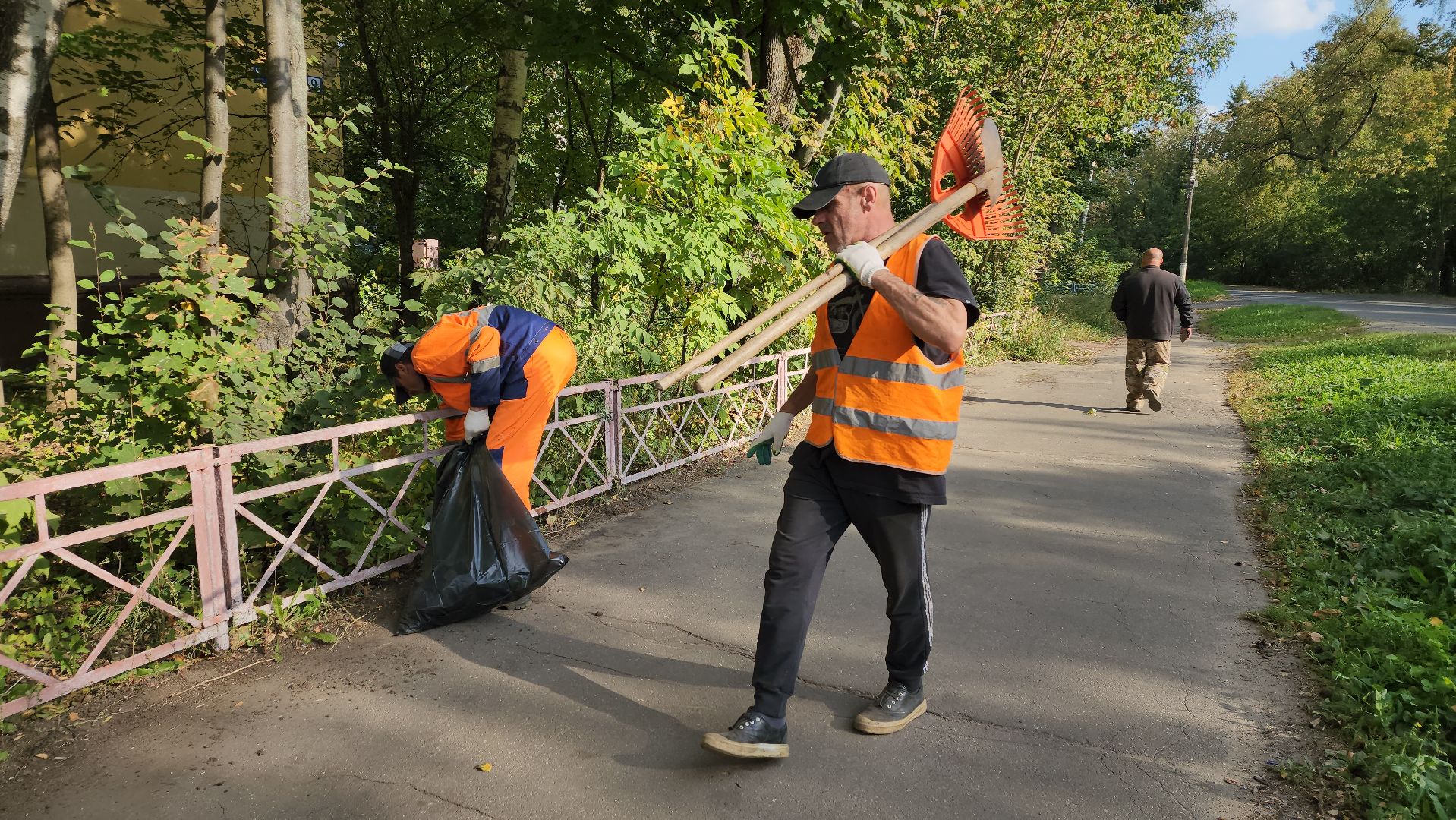 пушкино, коммунальная служба, уборка территории, мусор, листва, уборка города, уборка городских территорий,