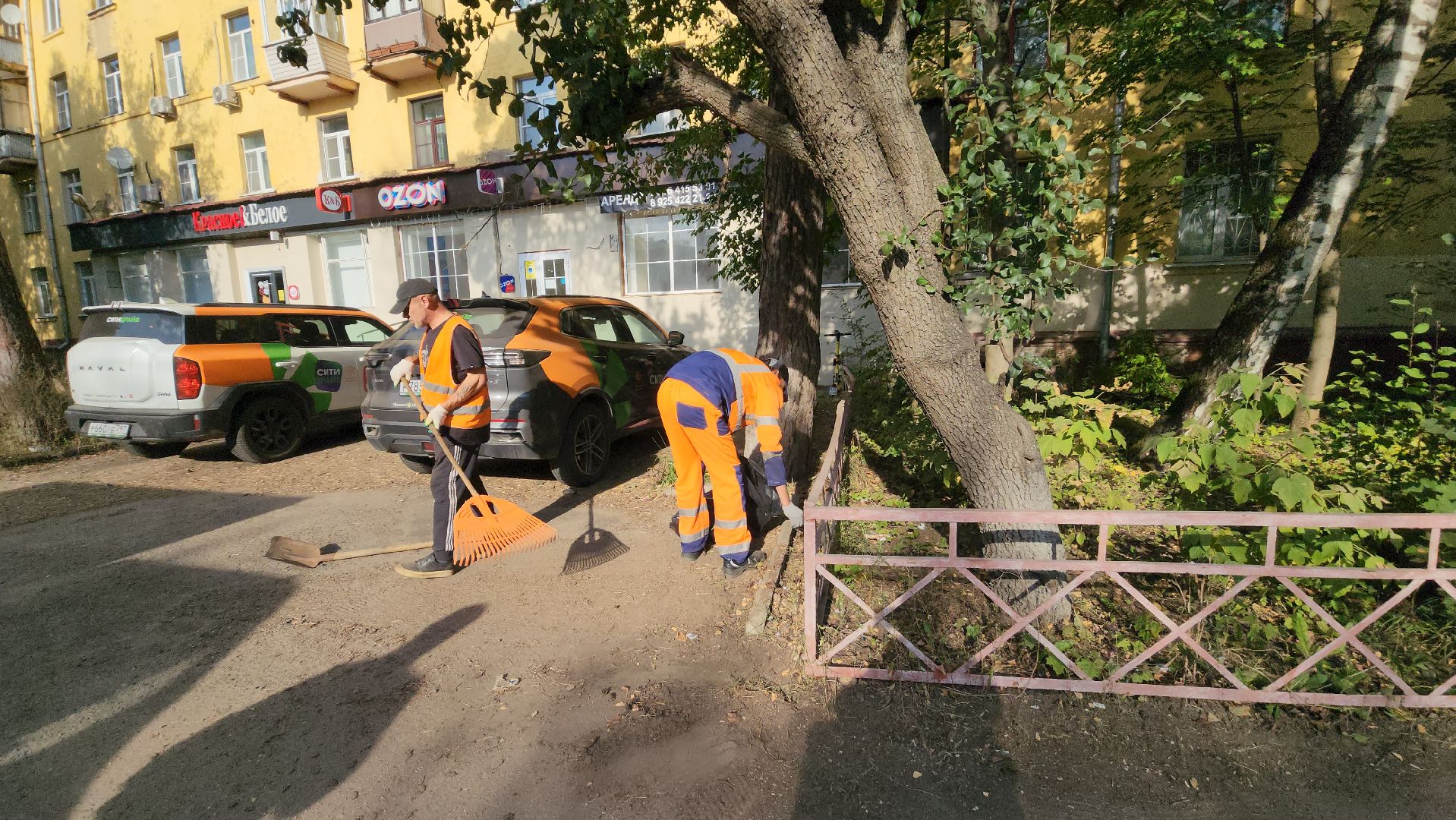 пушкино, коммунальная служба, уборка территории, мусор, листва, уборка города, уборка городских территорий,