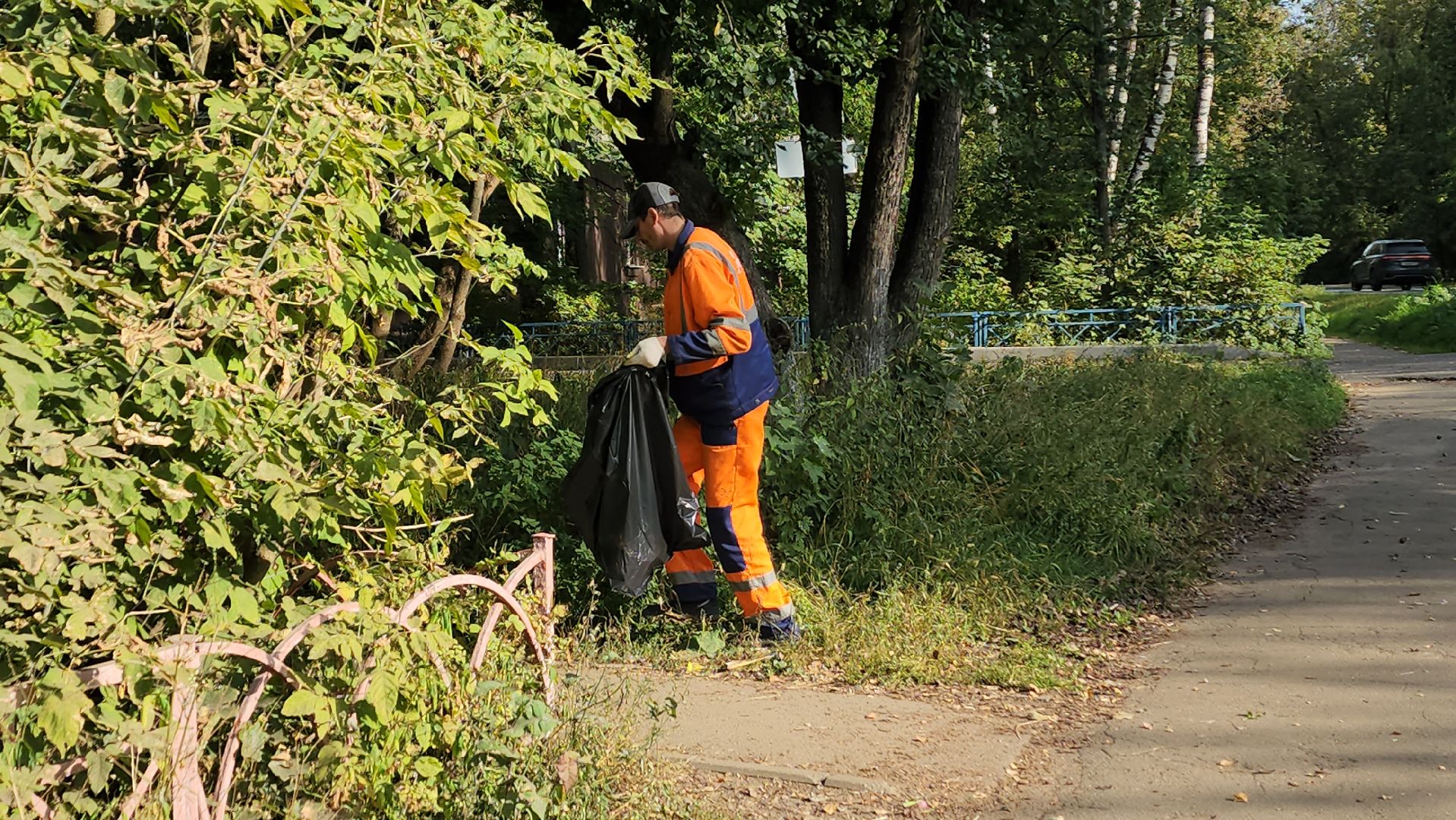 пушкино, коммунальная служба, уборка территории, мусор, листва, уборка города, уборка городских территорий,
