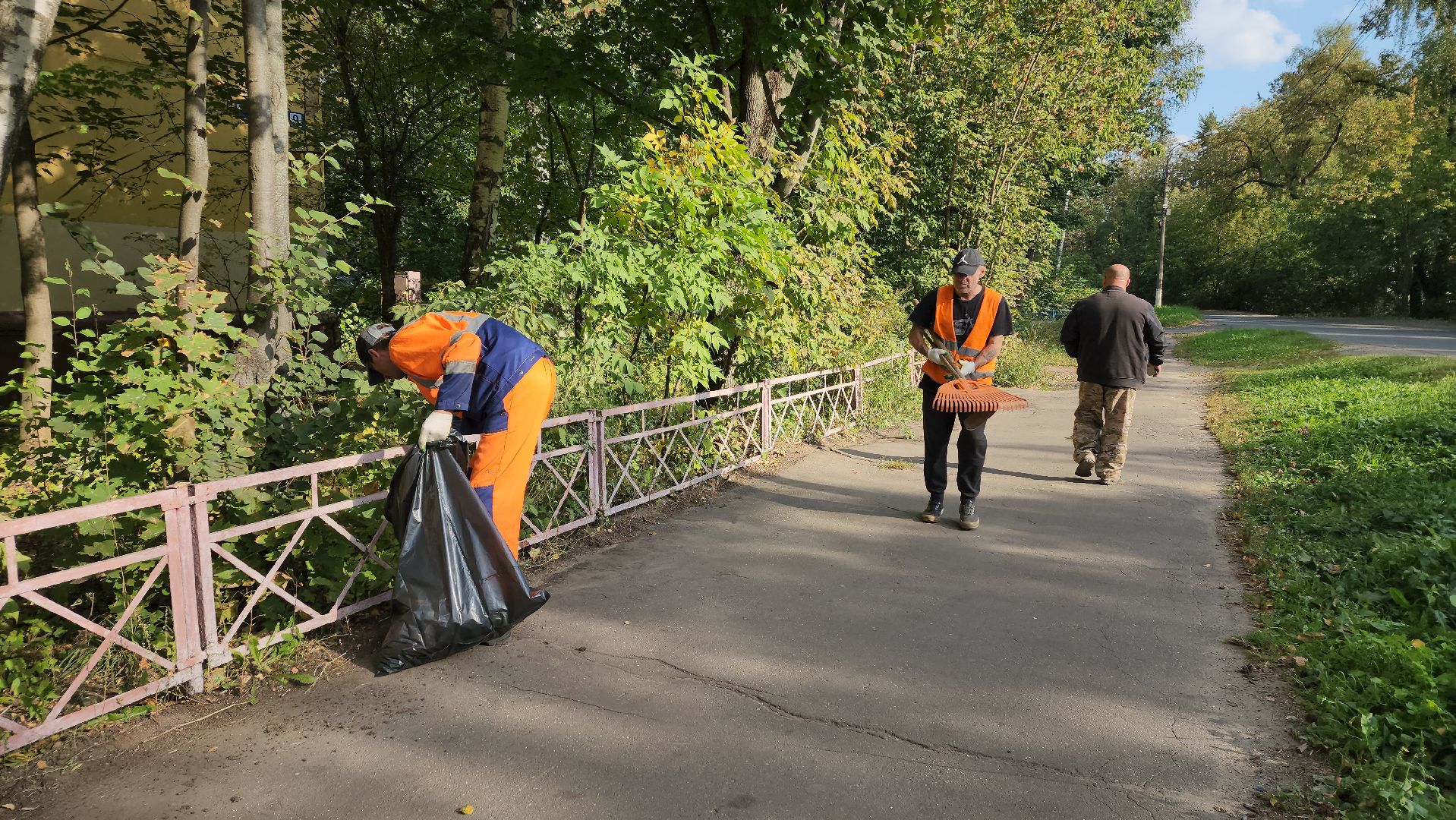 пушкино, коммунальная служба, уборка территории, мусор, листва, уборка города, уборка городских территорий,