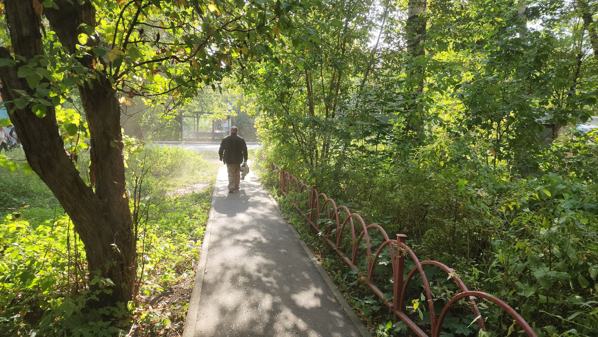 пушкино, коммунальная служба, уборка территории, мусор, листва, уборка города, уборка городских территорий,