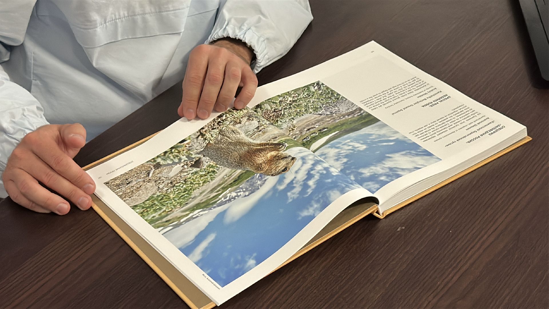 пушкинский городской округ, пушкино, Победитель фотоконкурса, Российское географическое общество, фотограф,