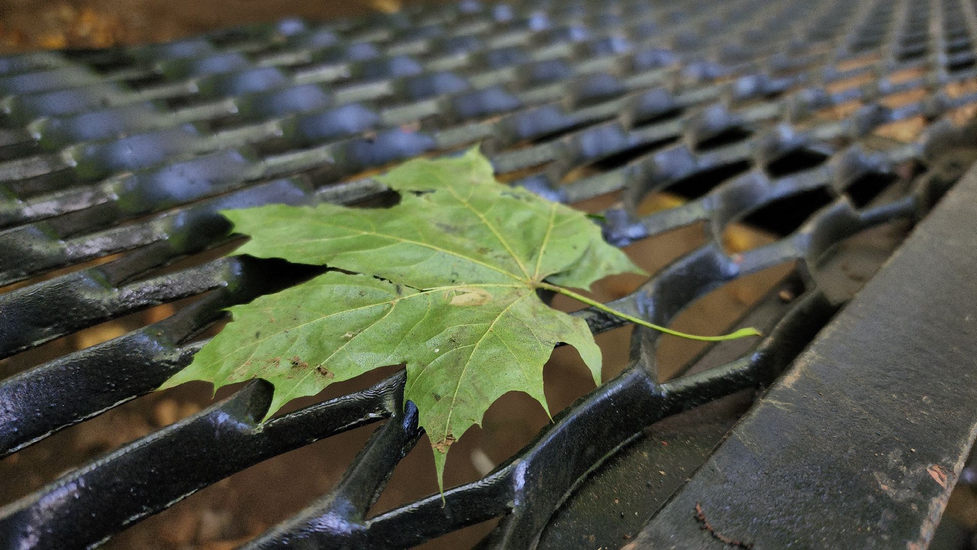 руза, благоустройство, парк городок, новая лестница,