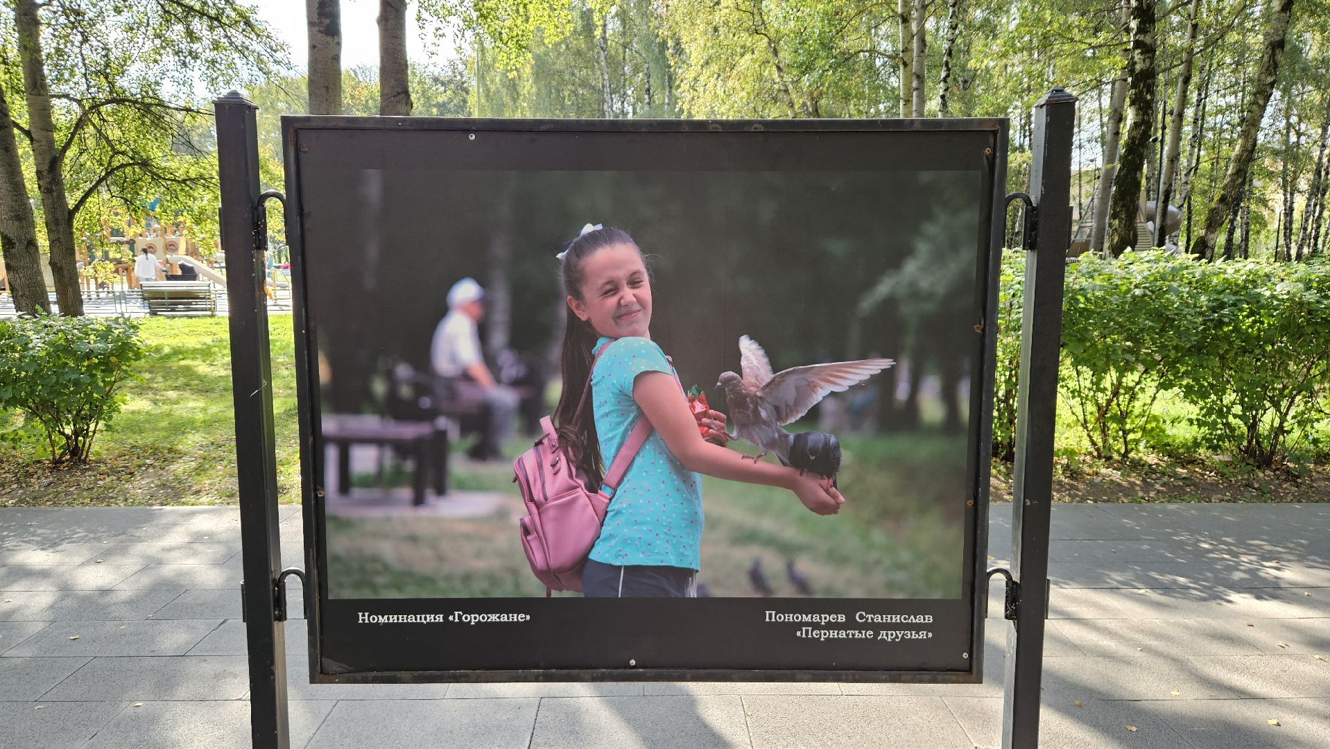 долгопрудный, фотоконкурс, центральный парк победы, фотовыставка,