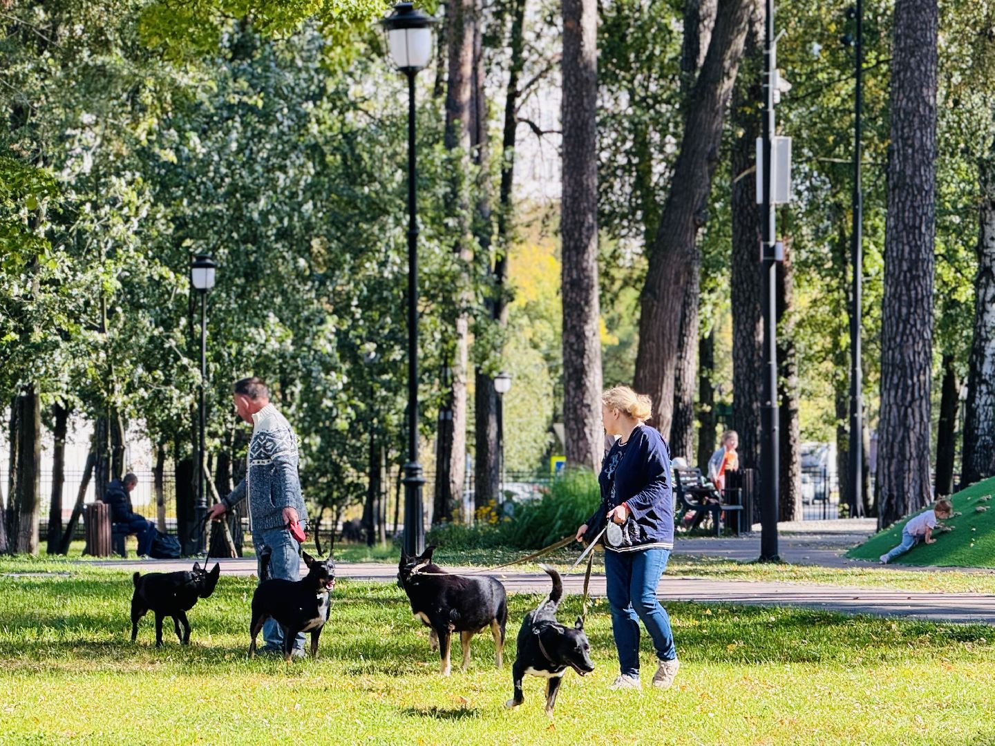 раменское, ветеринар, вакцинация животных, бешенство, чипирование, регистрация животных,