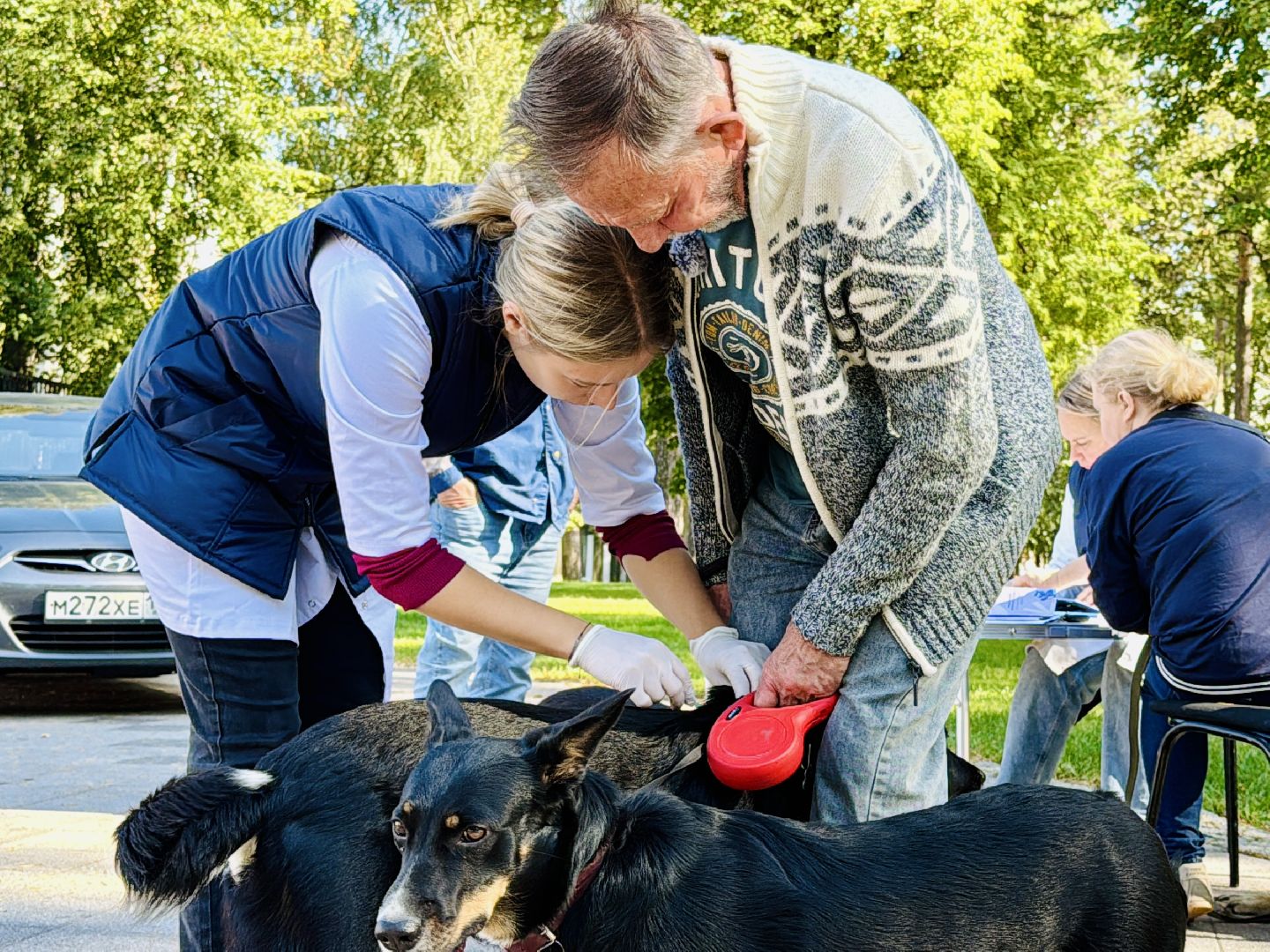 раменское, ветеринар, вакцинация животных, бешенство, чипирование, регистрация животных,