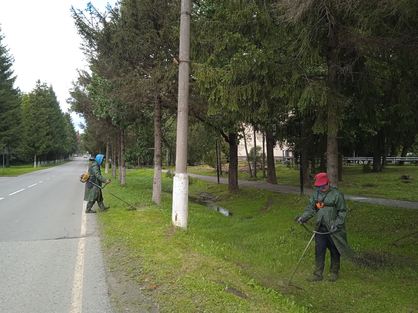 городской округ восход, благоустройство, жкх, покос травы,