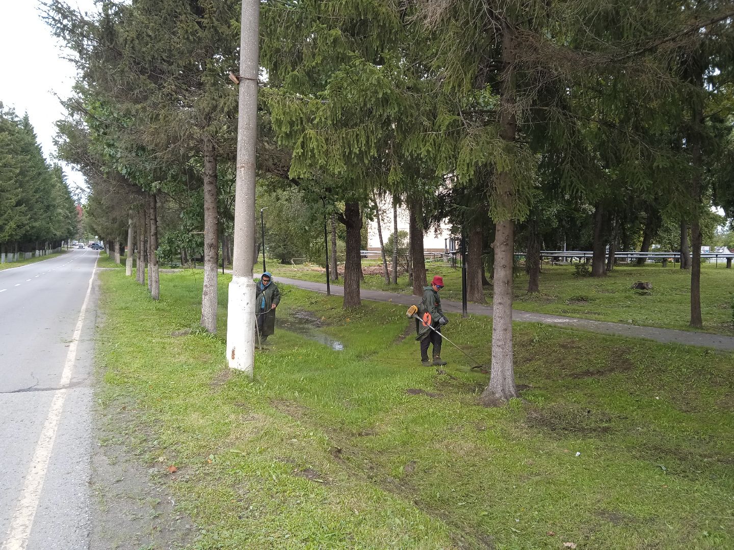 городской округ восход, благоустройство, жкх, покос травы,