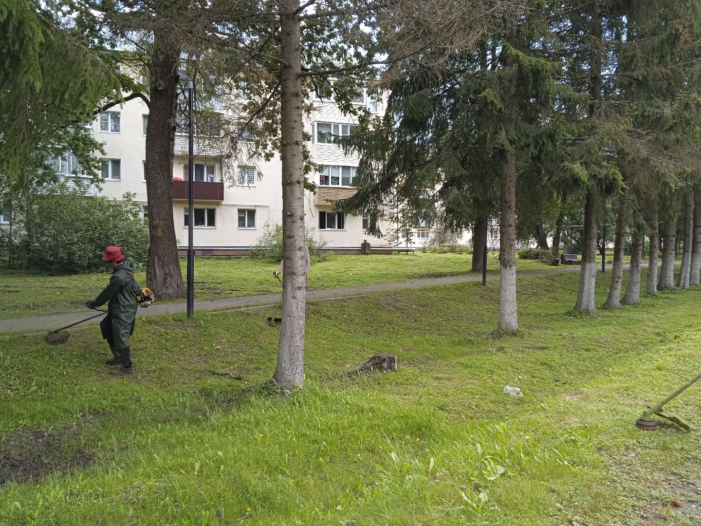 городской округ восход, благоустройство, жкх, покос травы,