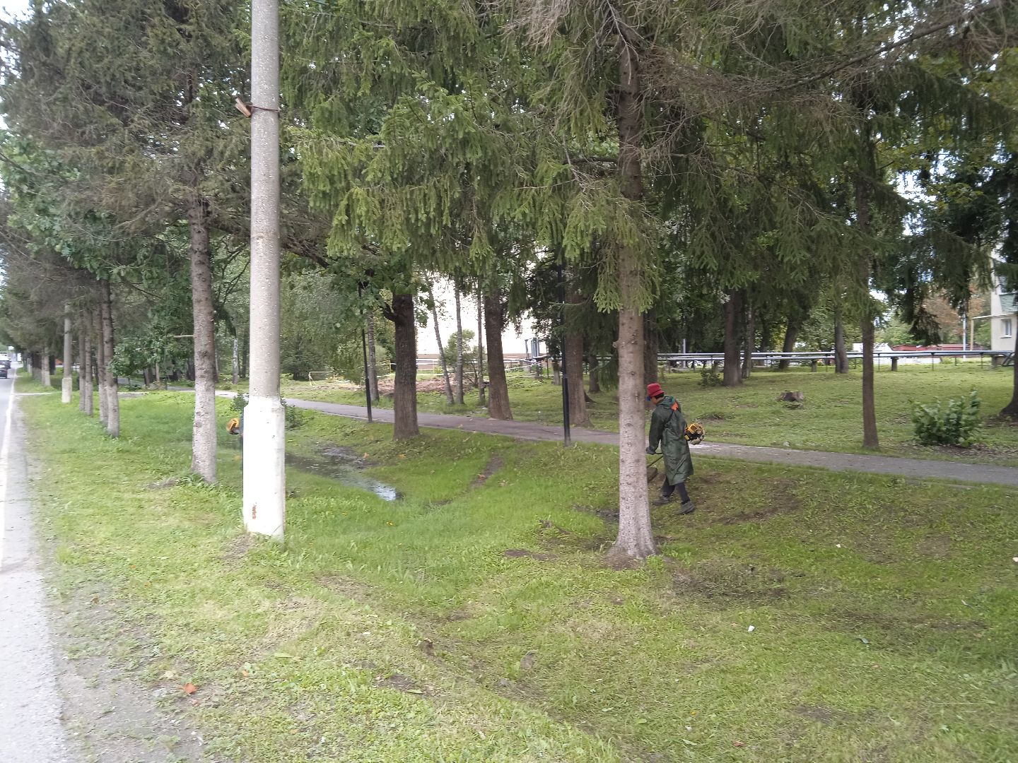 городской округ восход, благоустройство, жкх, покос травы,