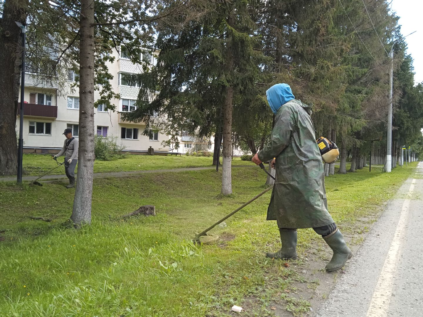городской округ восход, благоустройство, жкх, покос травы,