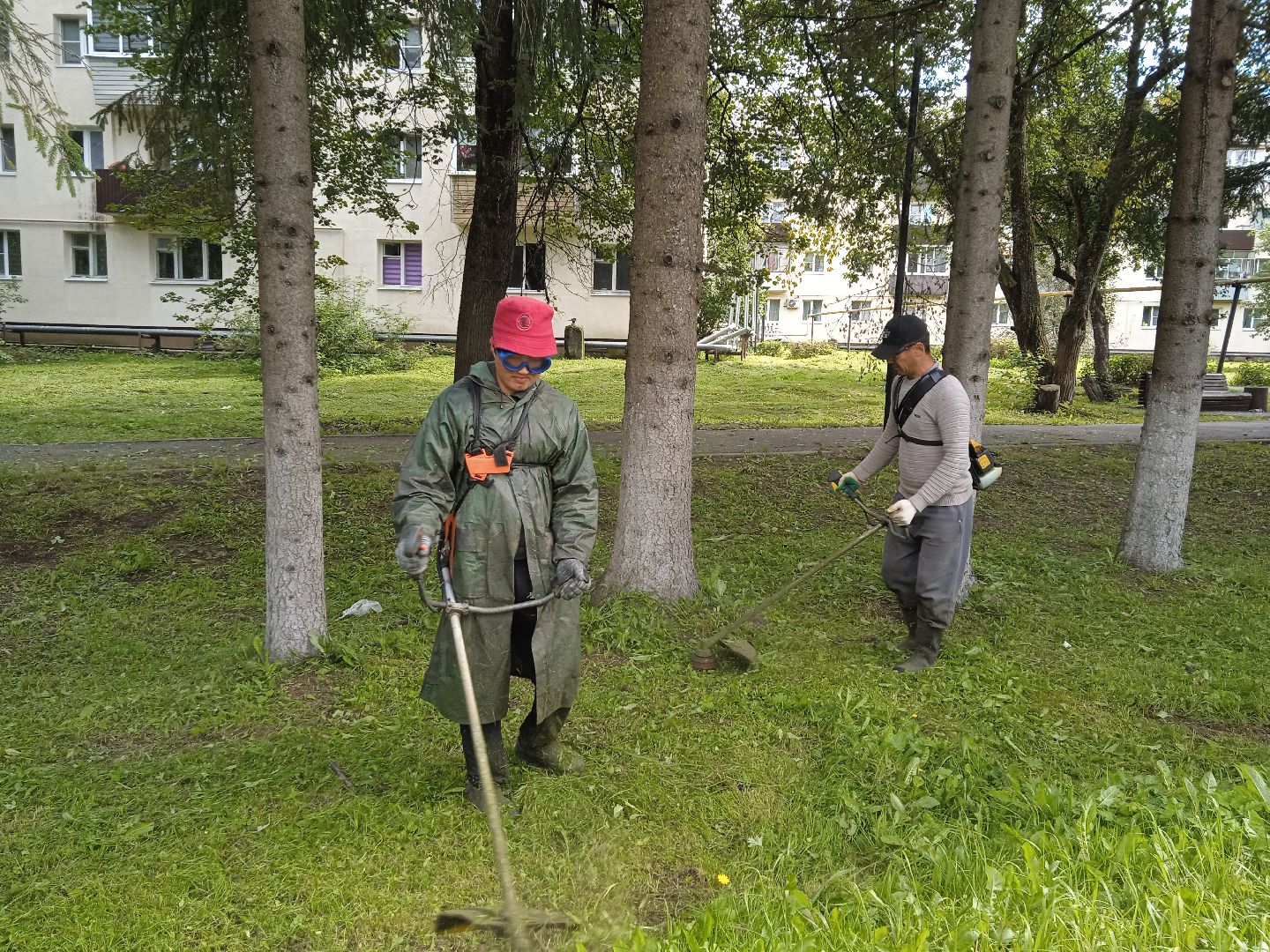 городской округ восход, благоустройство, жкх, покос травы,