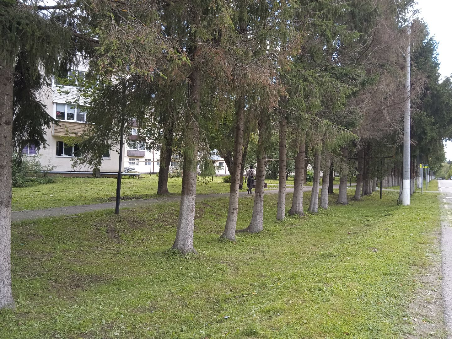 городской округ восход, благоустройство, жкх, покос травы,