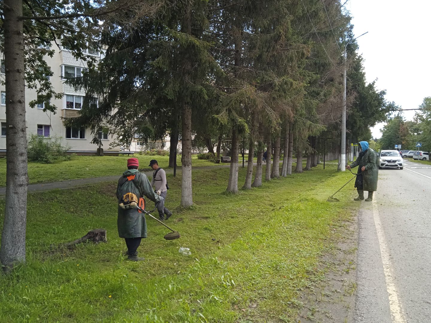 городской округ восход, благоустройство, жкх, покос травы,