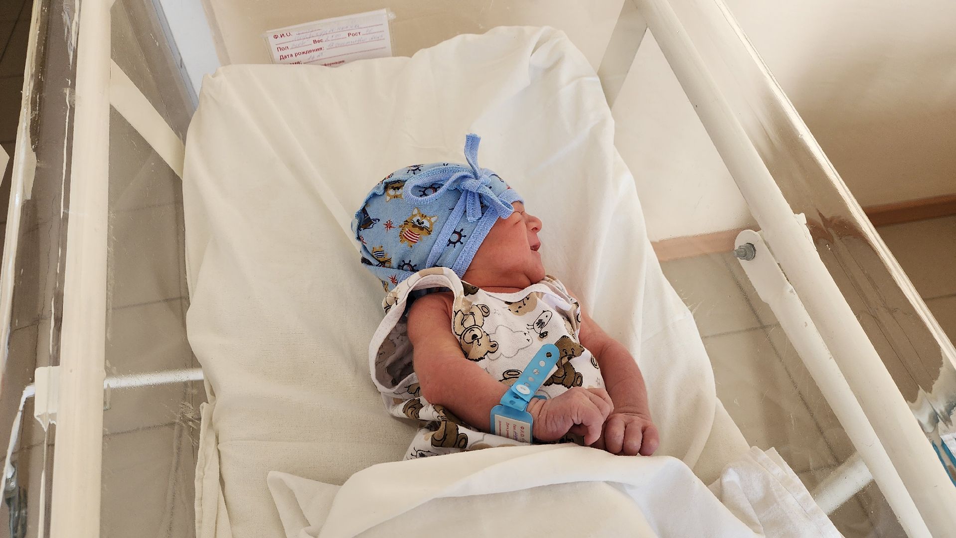 солнечногорск, роддом, медицина, королевская двойня,