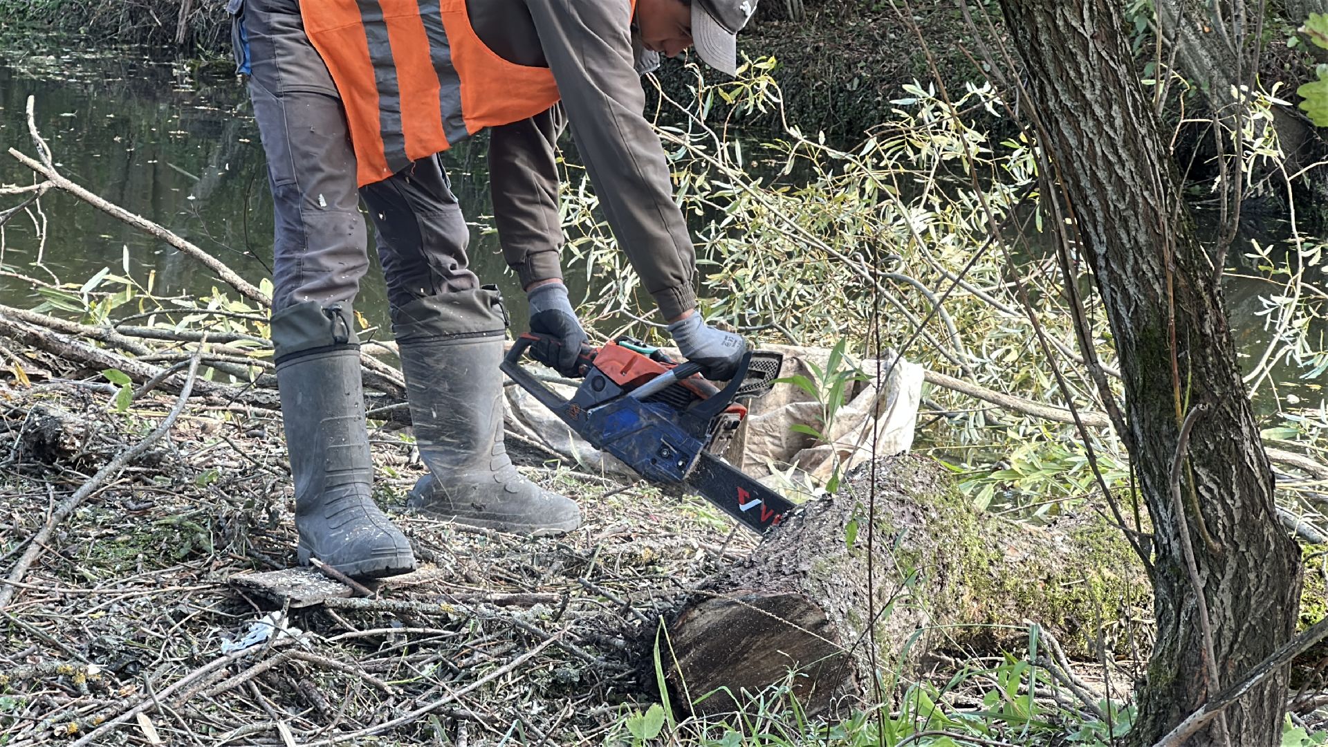 Расчистка реки, пушкинский городской округ, ивантеевка, Река Скалба, экология,