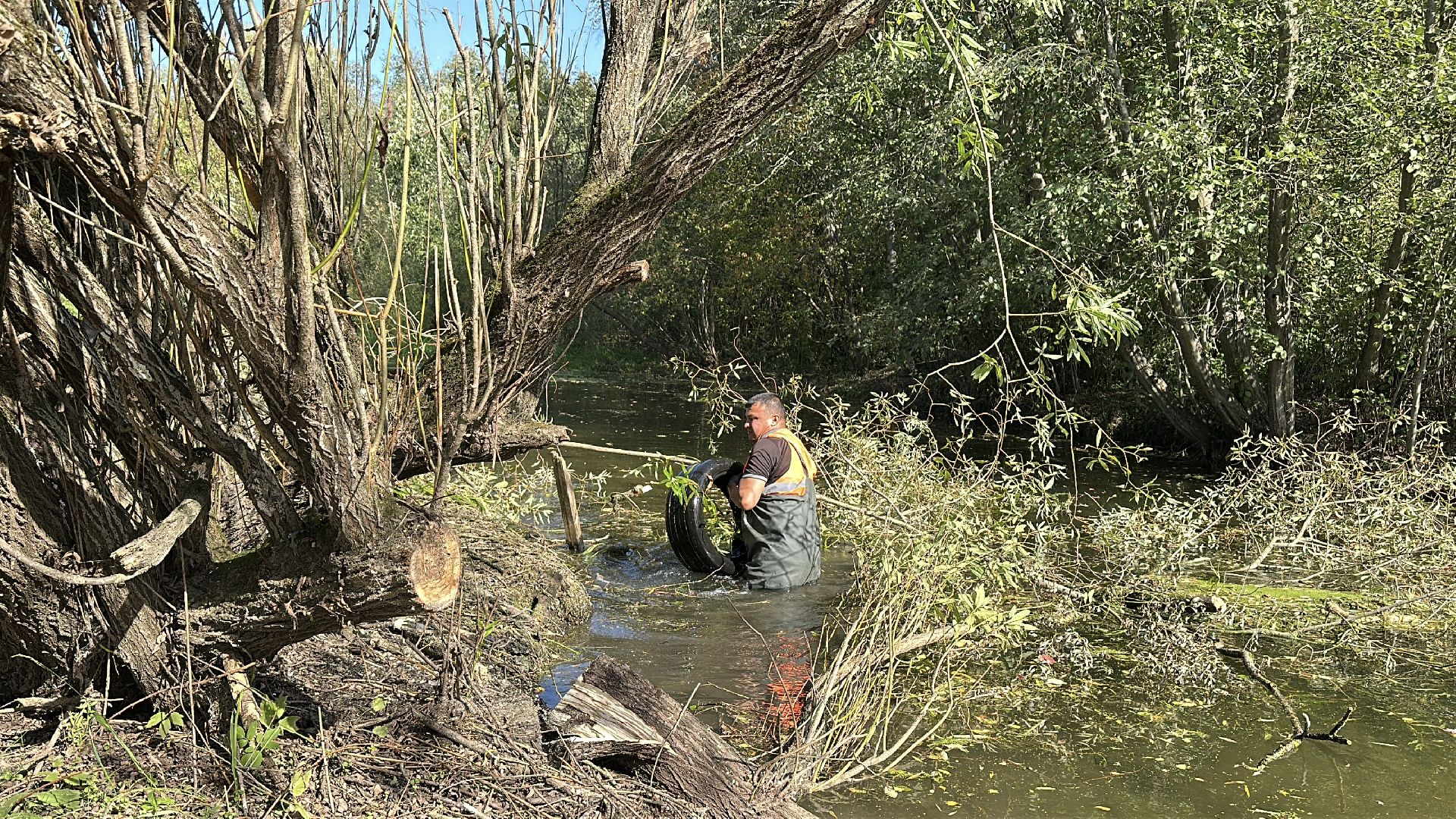 Расчистка реки, пушкинский городской округ, ивантеевка, Река Скалба, экология,