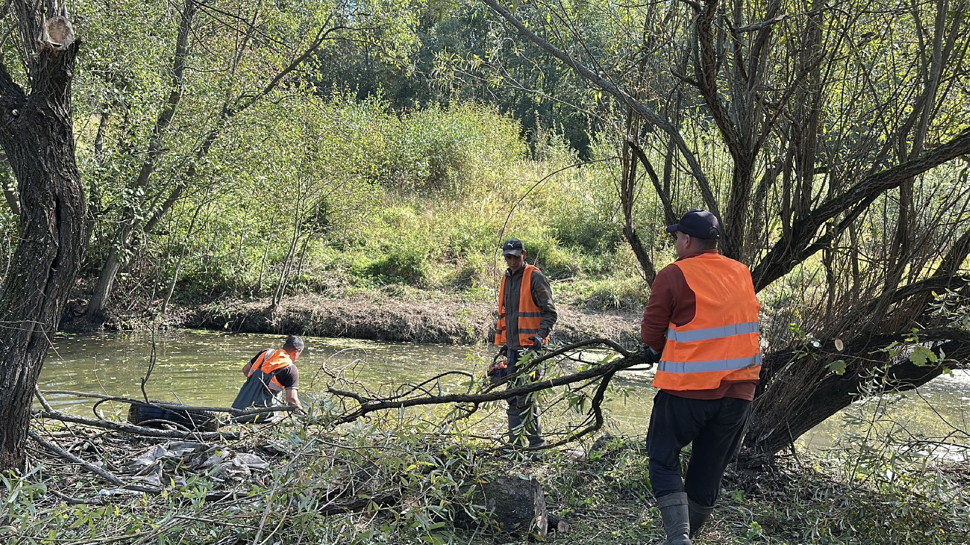 Расчистка реки, пушкинский городской округ, ивантеевка, Река Скалба, экология,
