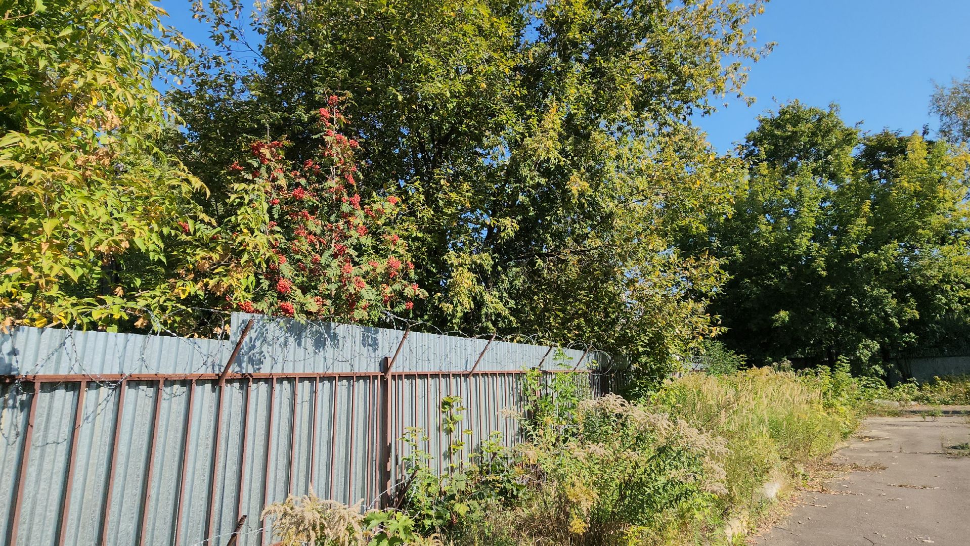 ивантеевка, пушкинский округ, пробная топка, теплосети, котельная, инженер,тепловые сети, тепловая камера, теплоснобжение, тепло в дома, тепло в квартирах, тепло жителям,