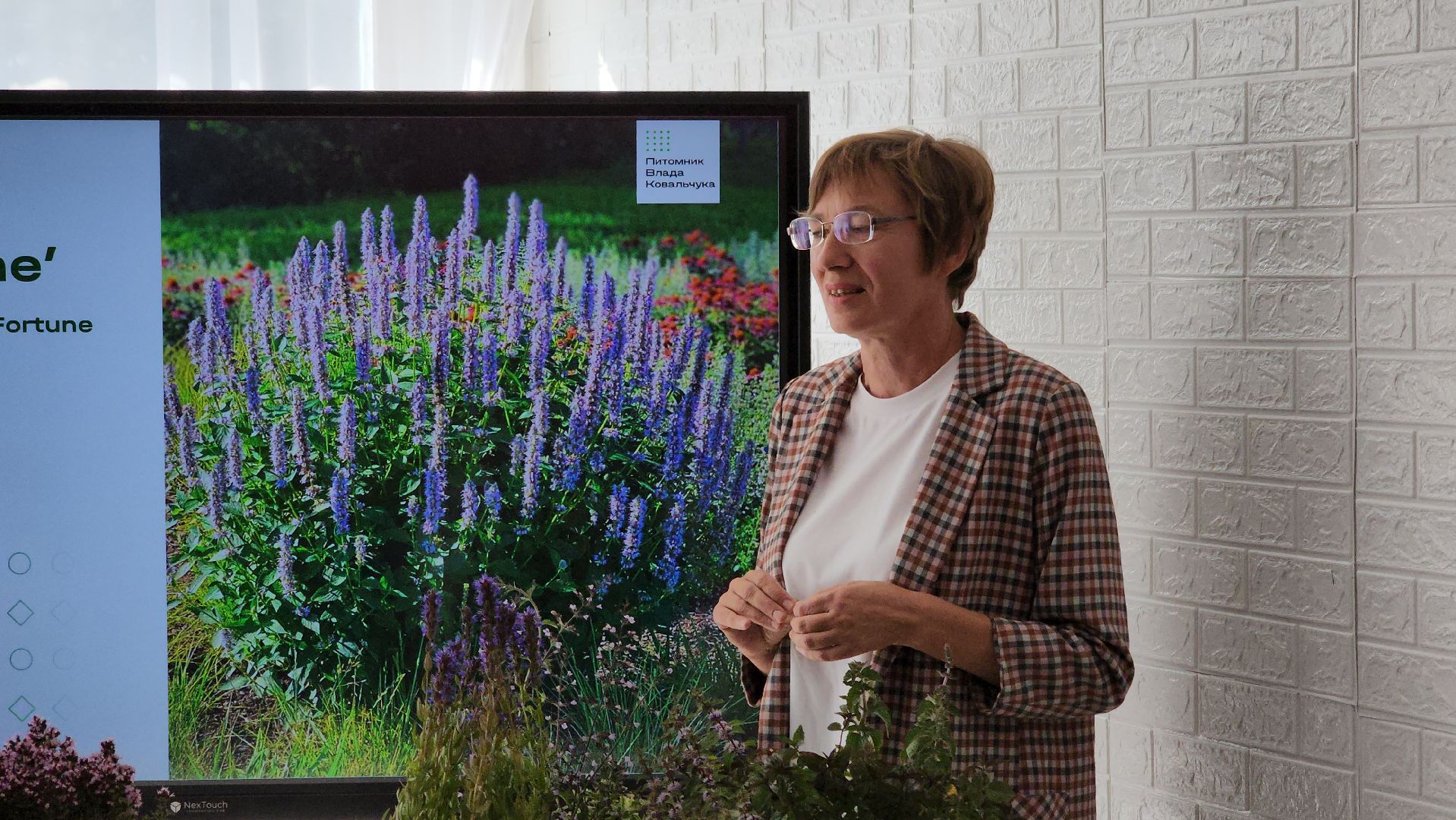 кашира, образование, движение первых, растениеводство, питомник растений, агрокласс, большое руново,