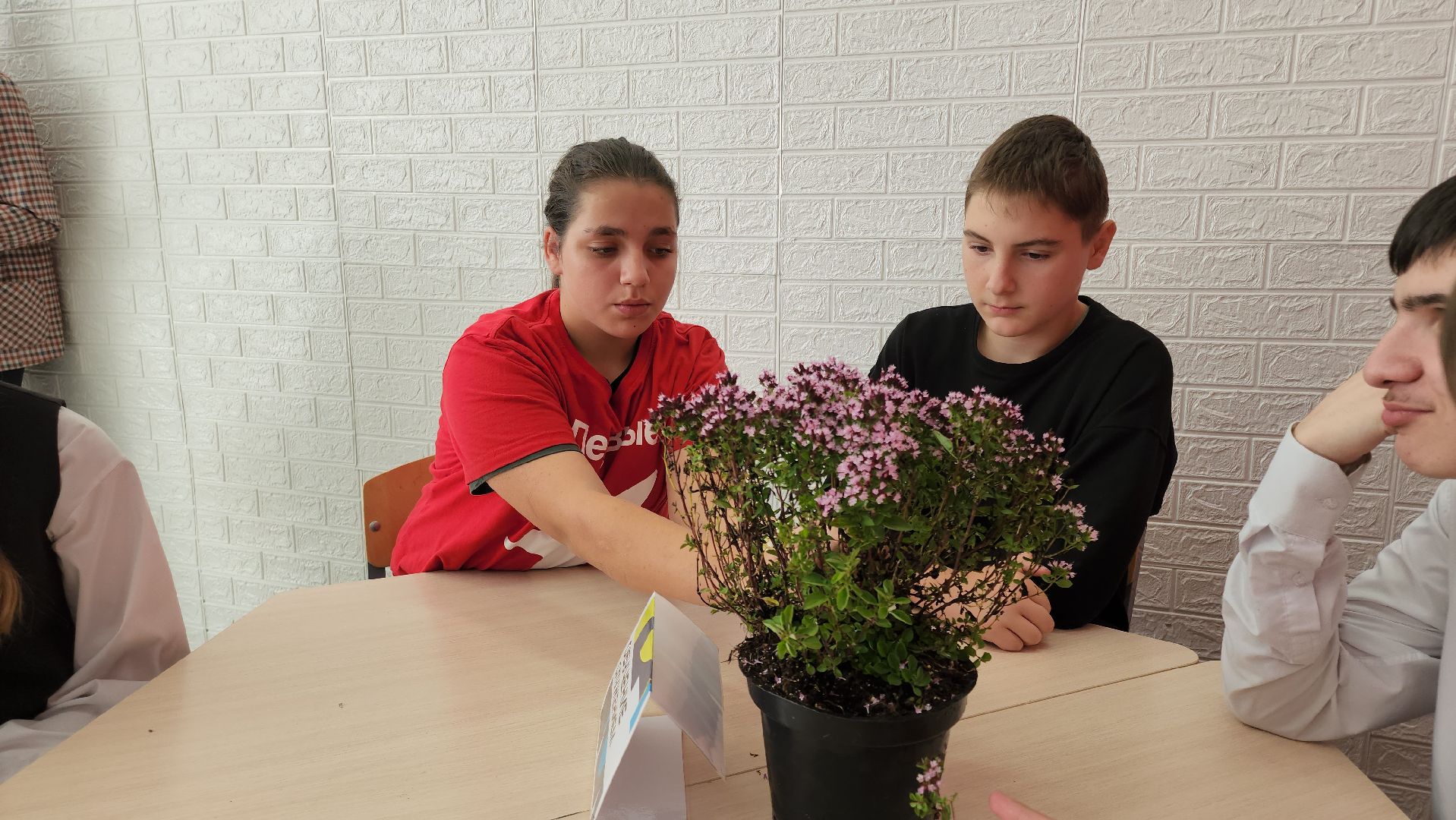 кашира, образование, движение первых, растениеводство, питомник растений, агрокласс, большое руново,