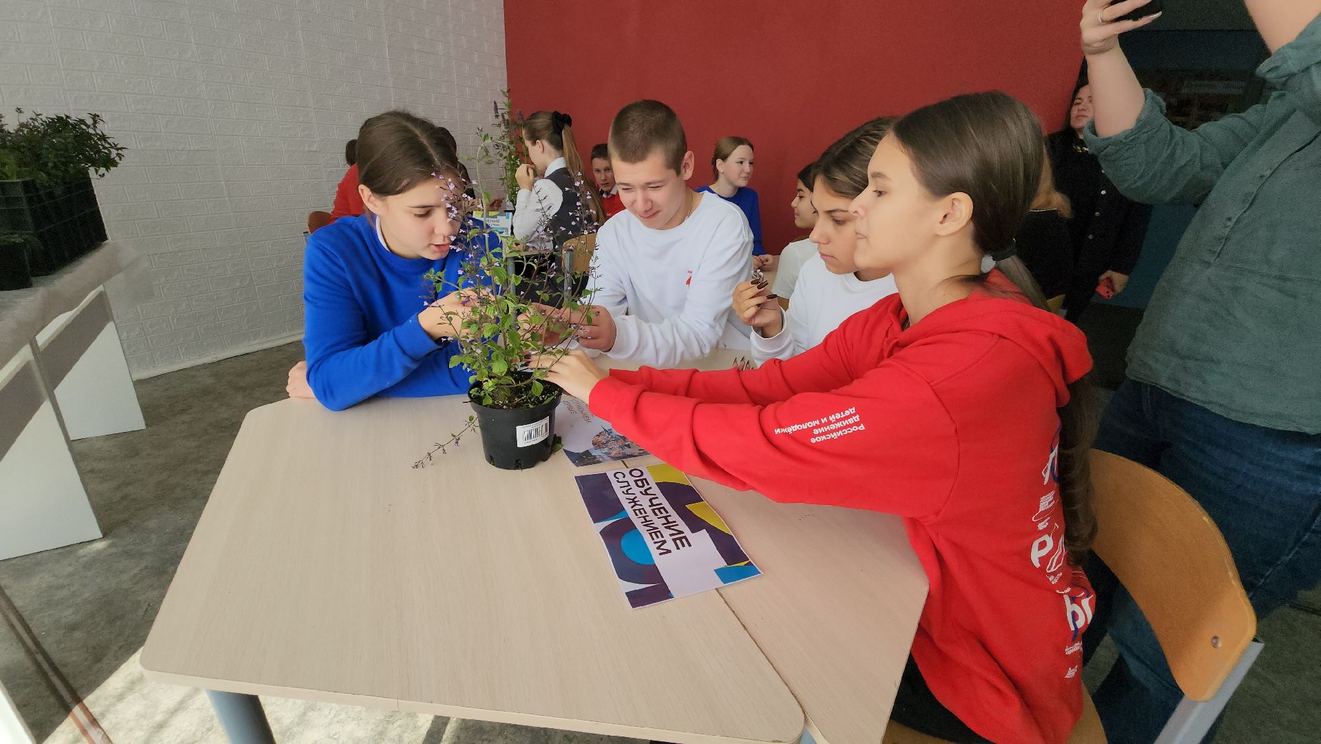 кашира, образование, движение первых, растениеводство, питомник растений, агрокласс, большое руново,