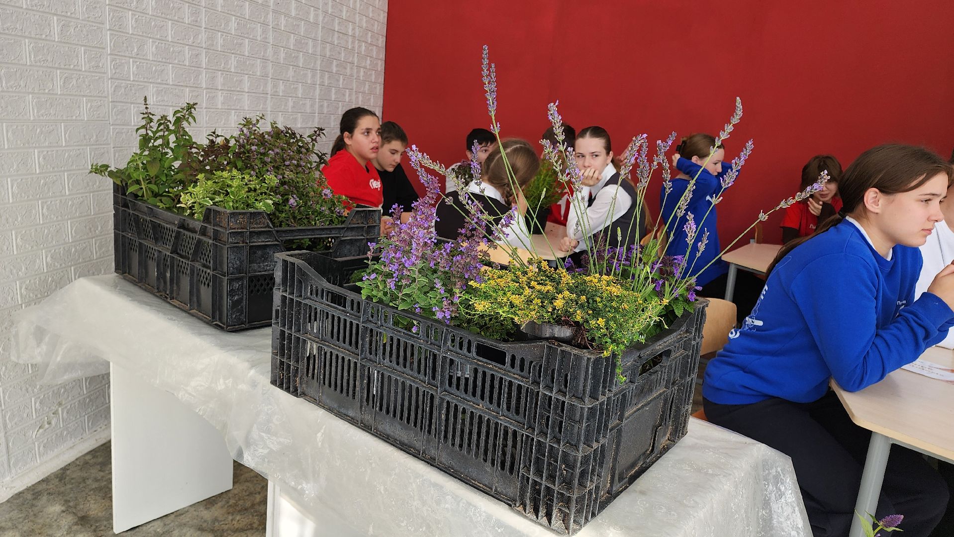 кашира, образование, движение первых, растениеводство, питомник растений, агрокласс, большое руново,