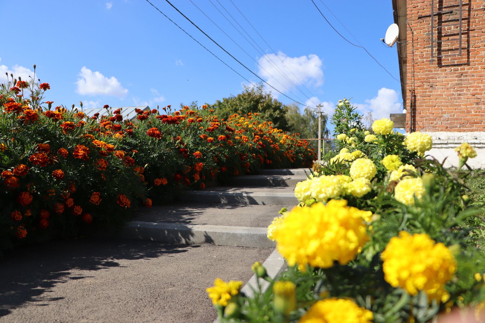 серебряные пруды, крутое, комплексное благоустройство двора,