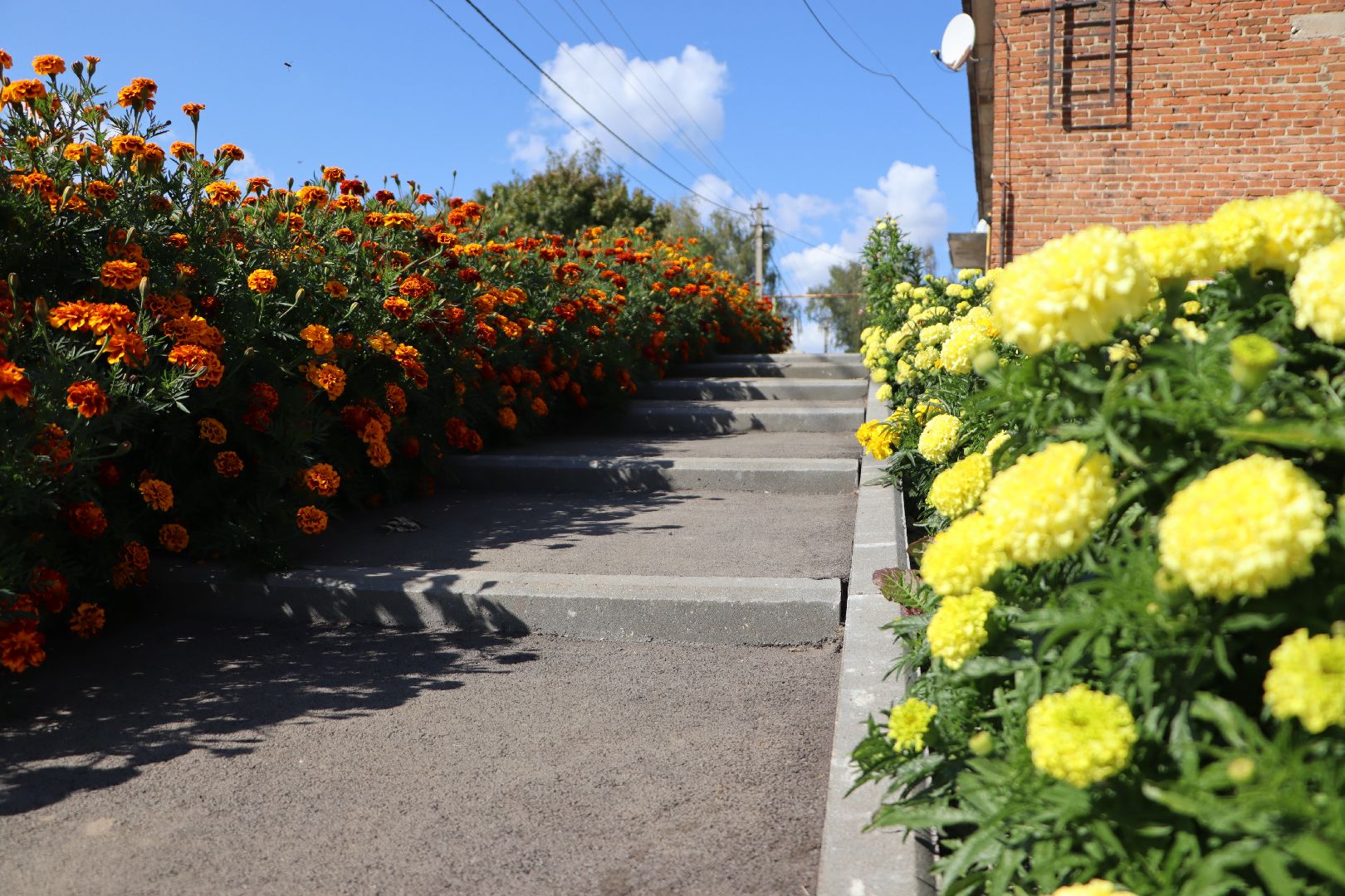 серебряные пруды, крутое, комплексное благоустройство двора,