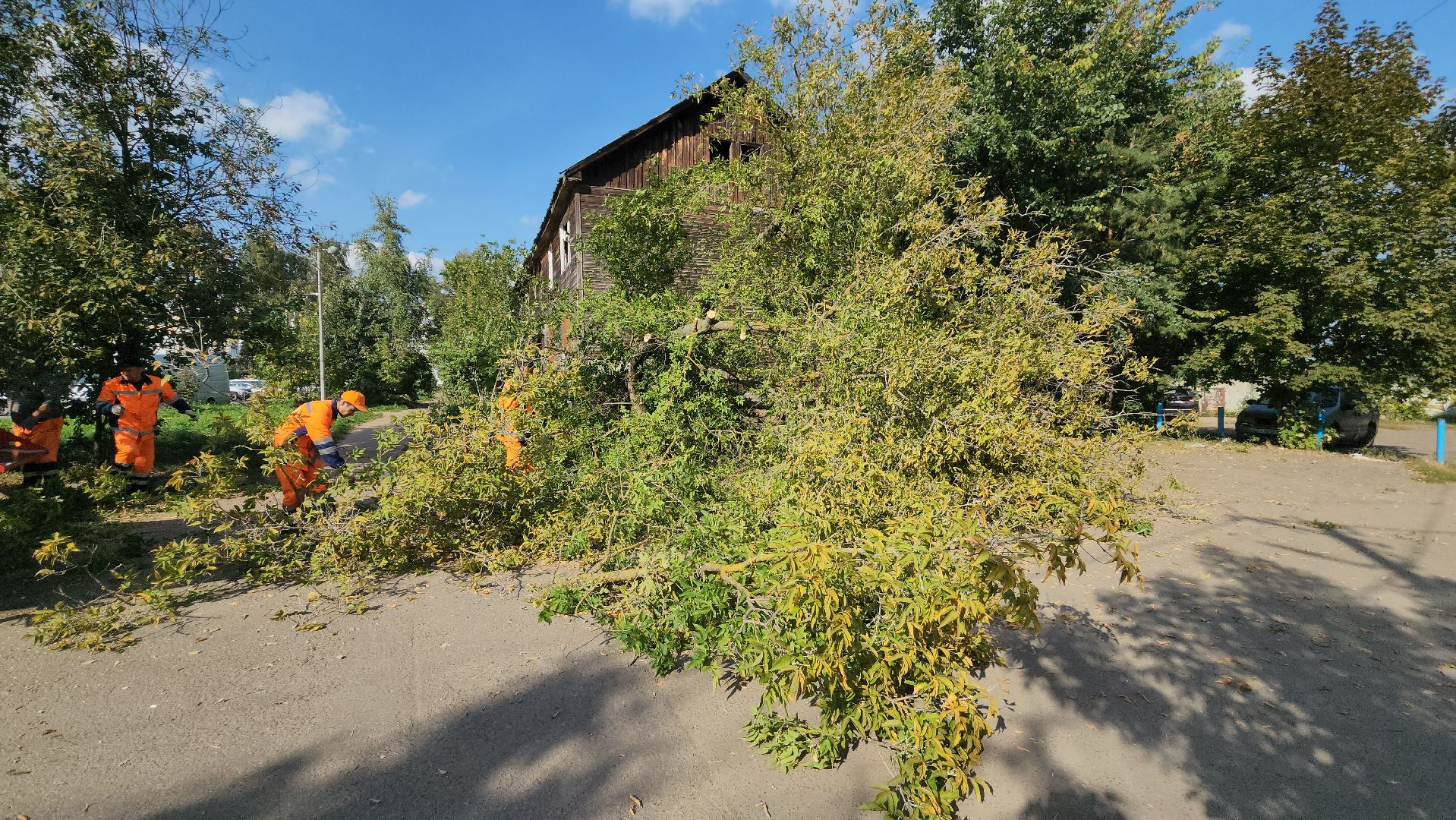 ивантеевка, пушкинский, снос аварийного жилья, снос дома, спил деревьев, городское хозяйство ивантеевка, коммунальная служба,аварийный дом,